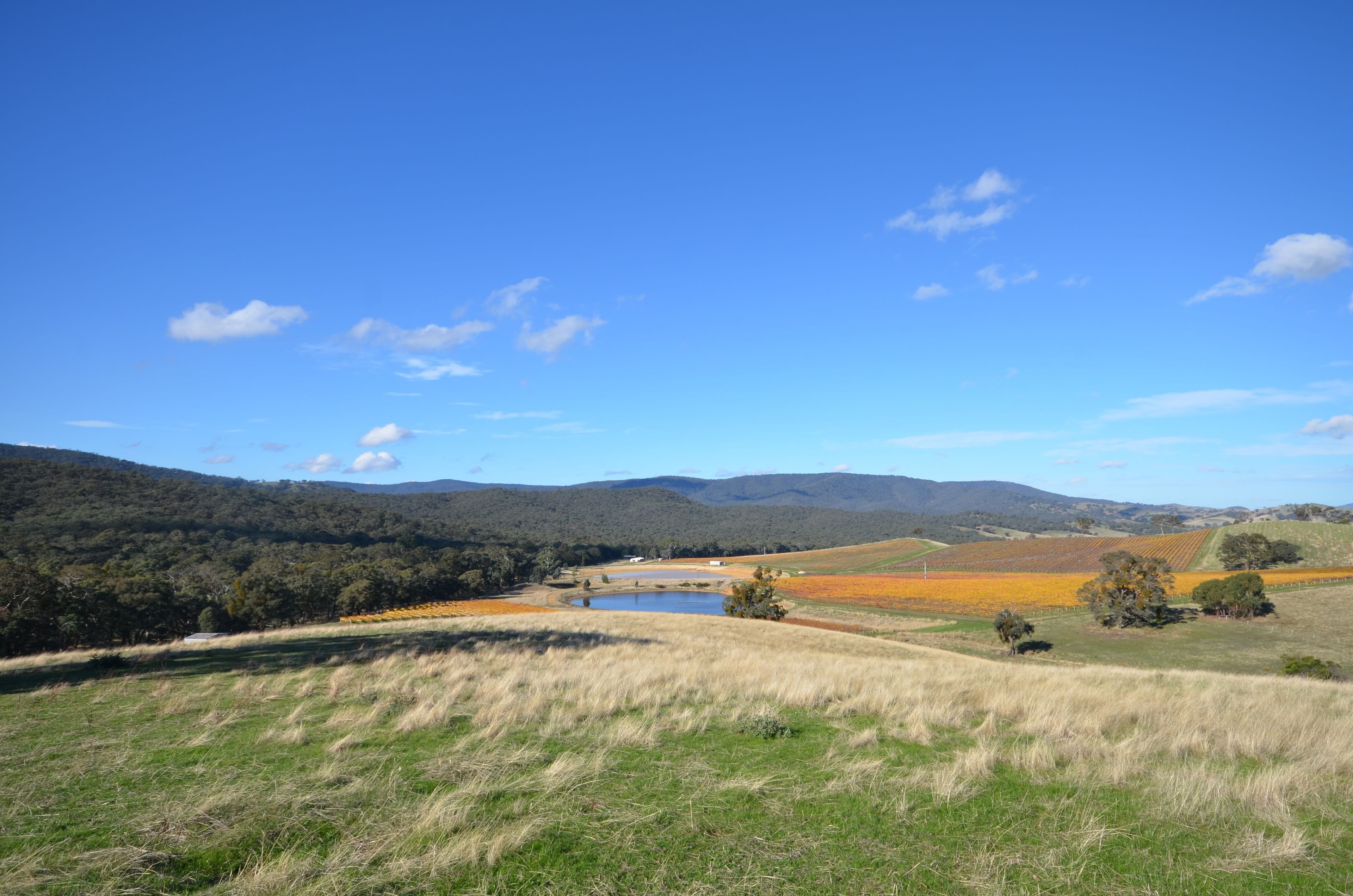 CA 24 +24B Landsborough-Elmhurst Road, LANDSBOROUGH VIC 3384, Landsborough - Thumbnail 5