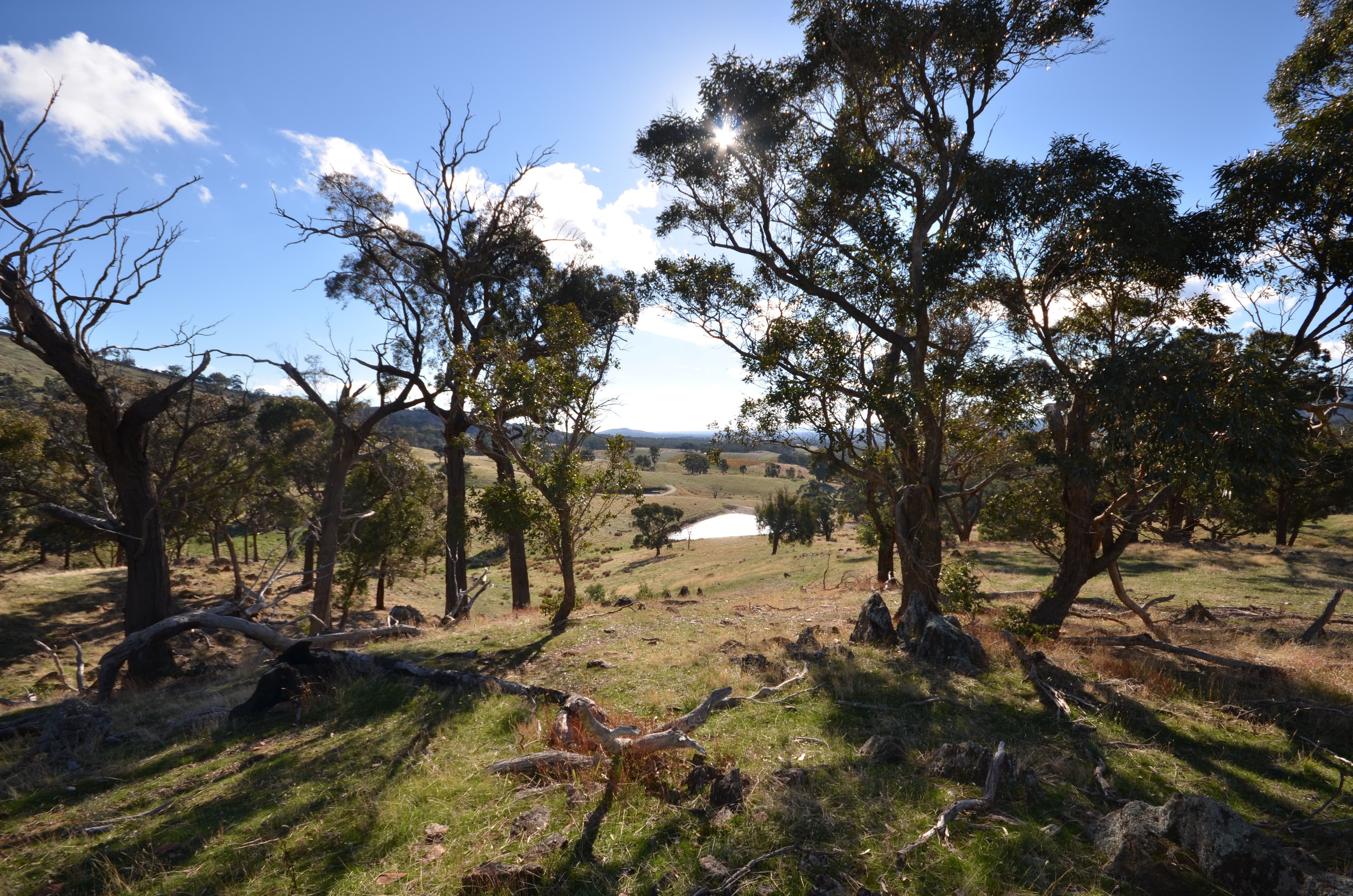 CA 24 +24B Landsborough-Elmhurst Road, LANDSBOROUGH VIC 3384, Landsborough - Thumbnail 7