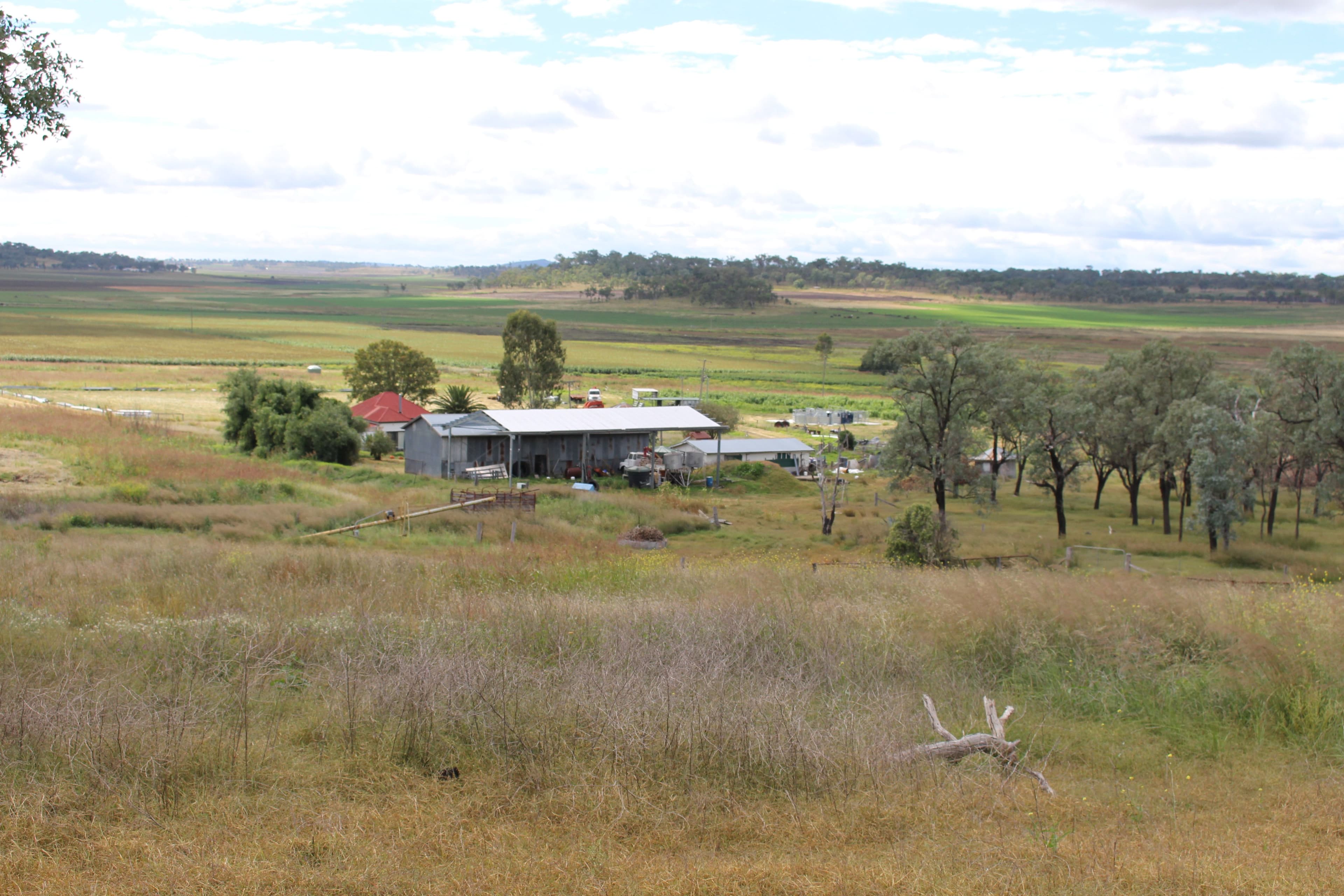 390 Jimna Springs Road, Southbrook QLD 4363, Southbrook - Thumbnail 3