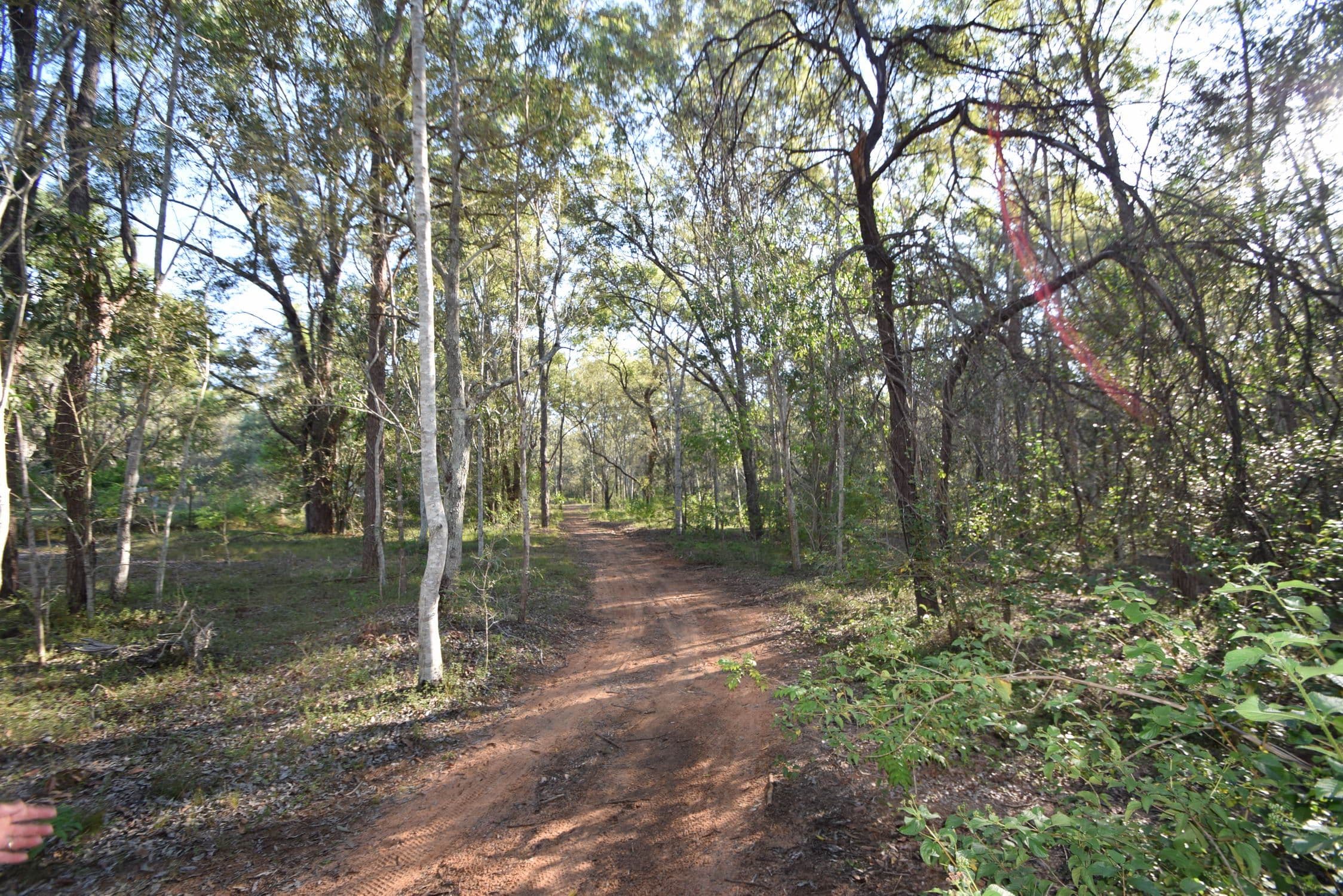 132 Mount Mulgowie Road, Buaraba QLD 4311, Buaraba - Thumbnail 8