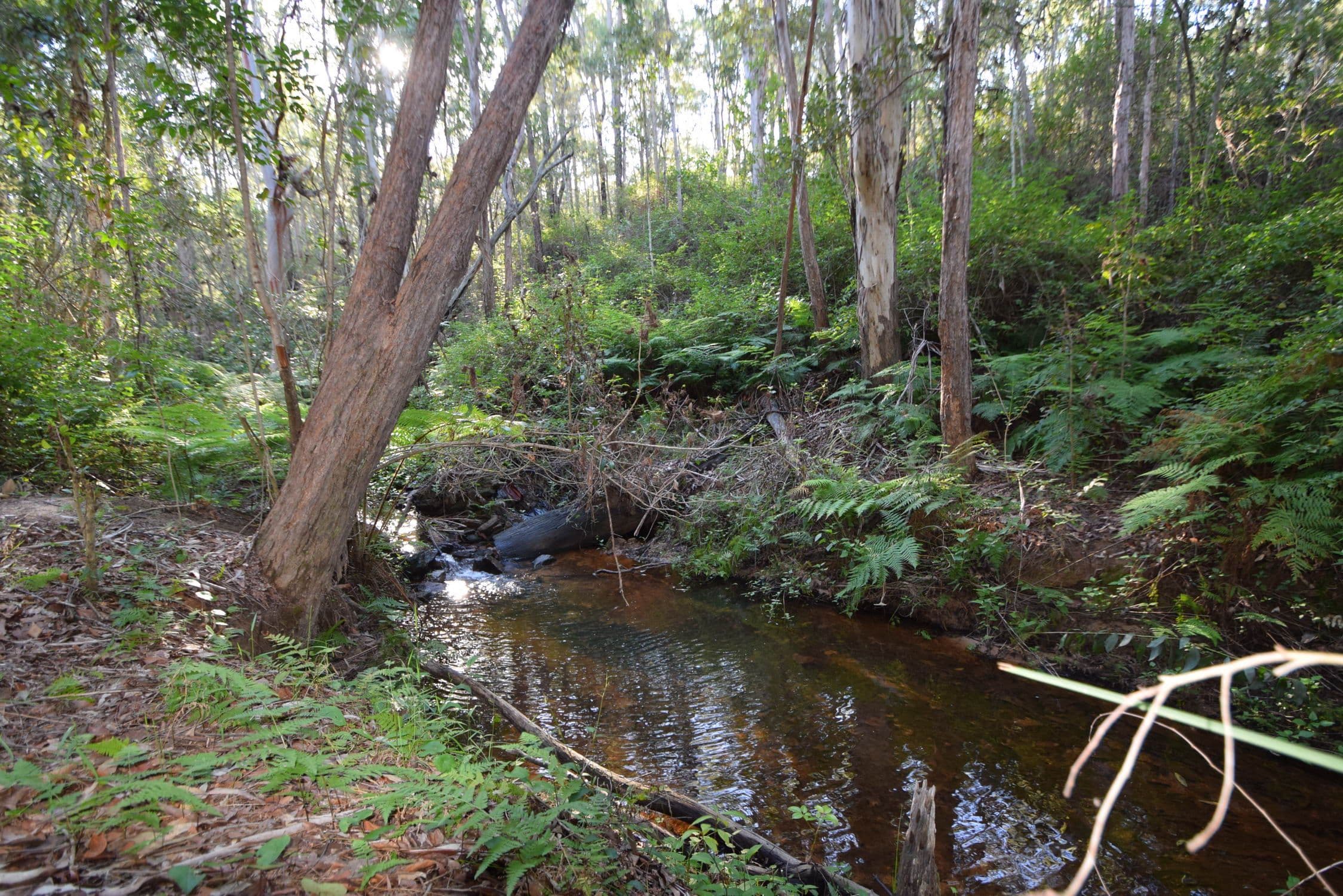 132 Mount Mulgowie Road, Buaraba QLD 4311, Buaraba - Thumbnail 2