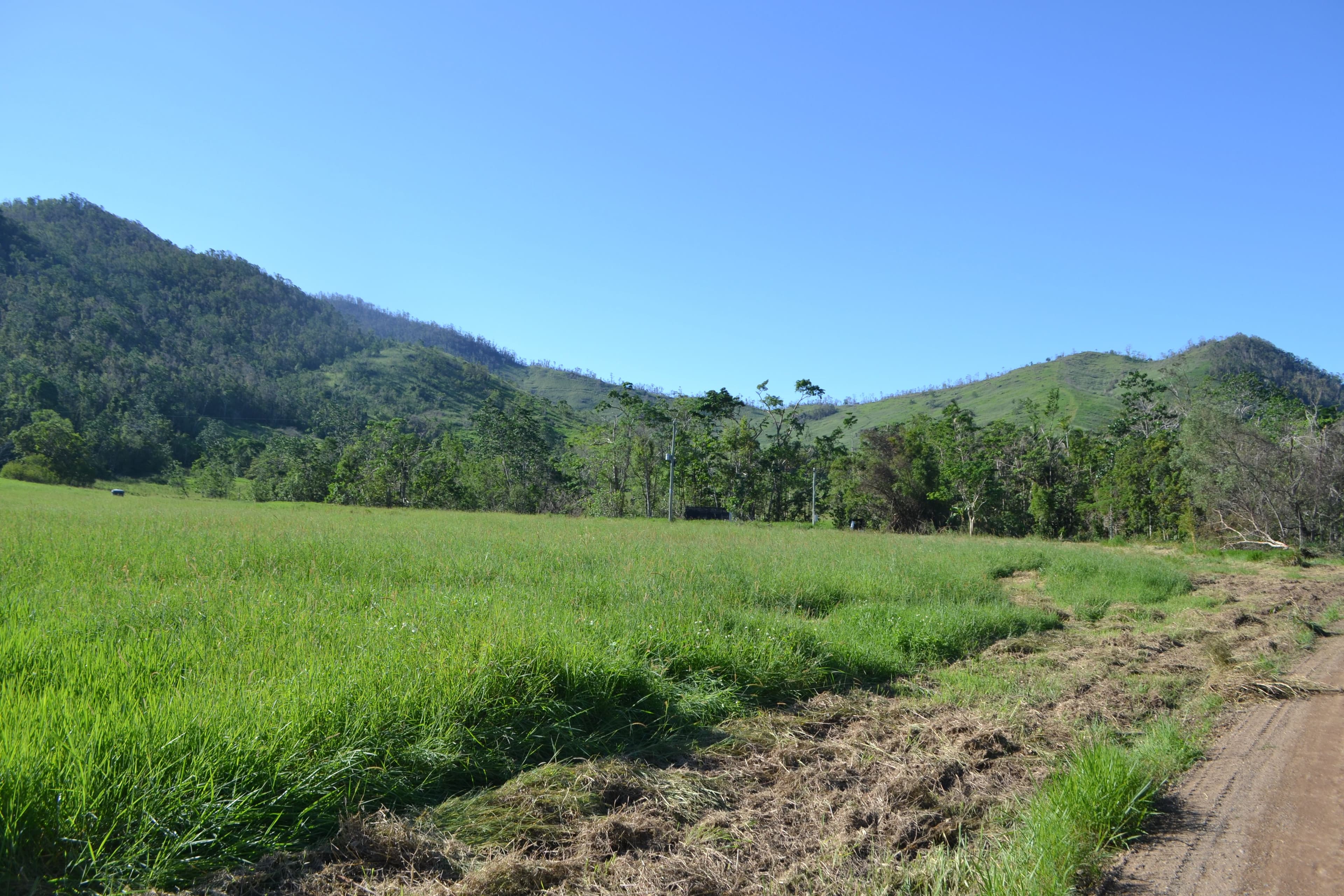 Lot 197 Monaghan Road, Palm Grove QLD 4800, Palm Grove - Thumbnail 8