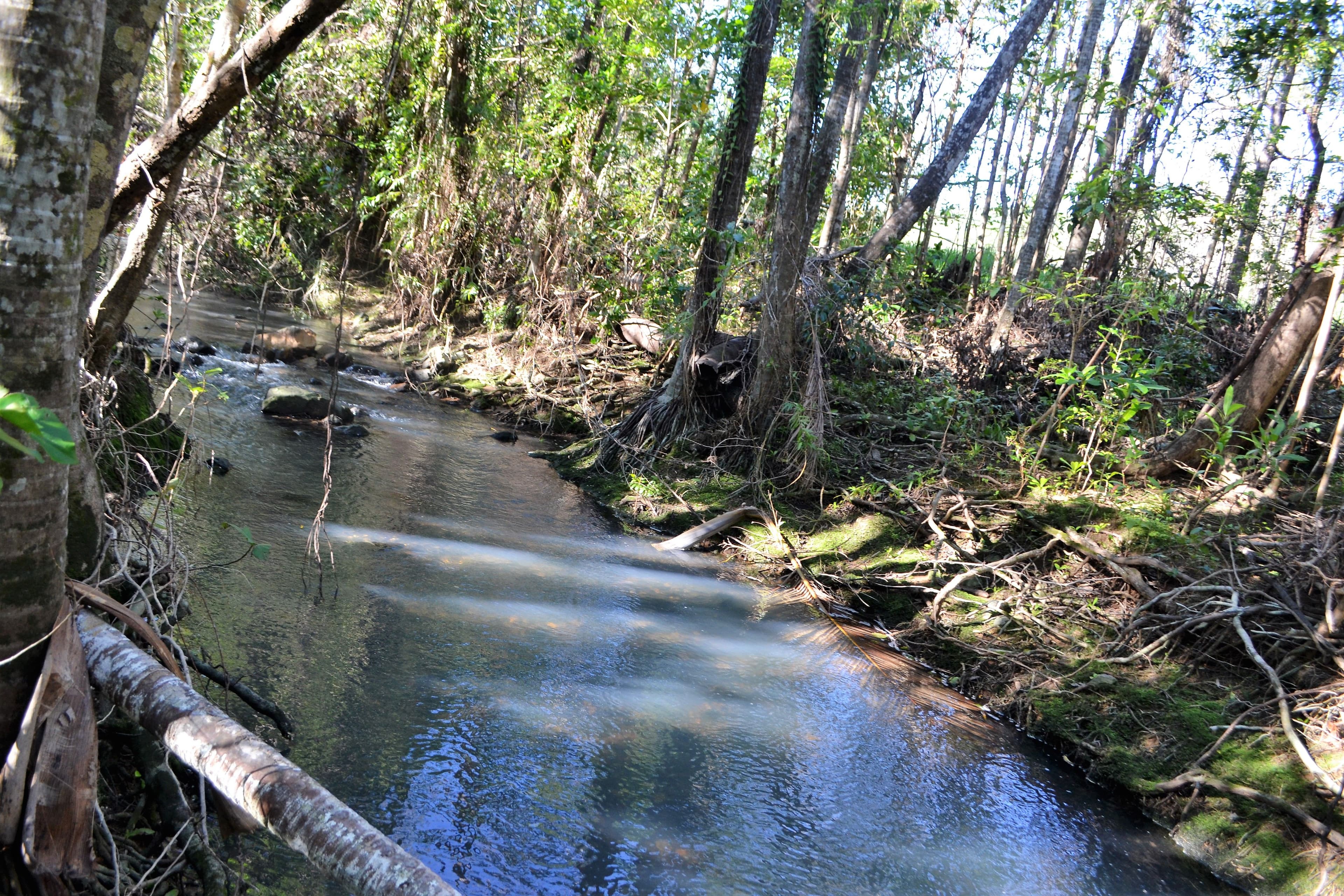 Lot 197 Monaghan Road, Palm Grove QLD 4800, Palm Grove - Thumbnail 6