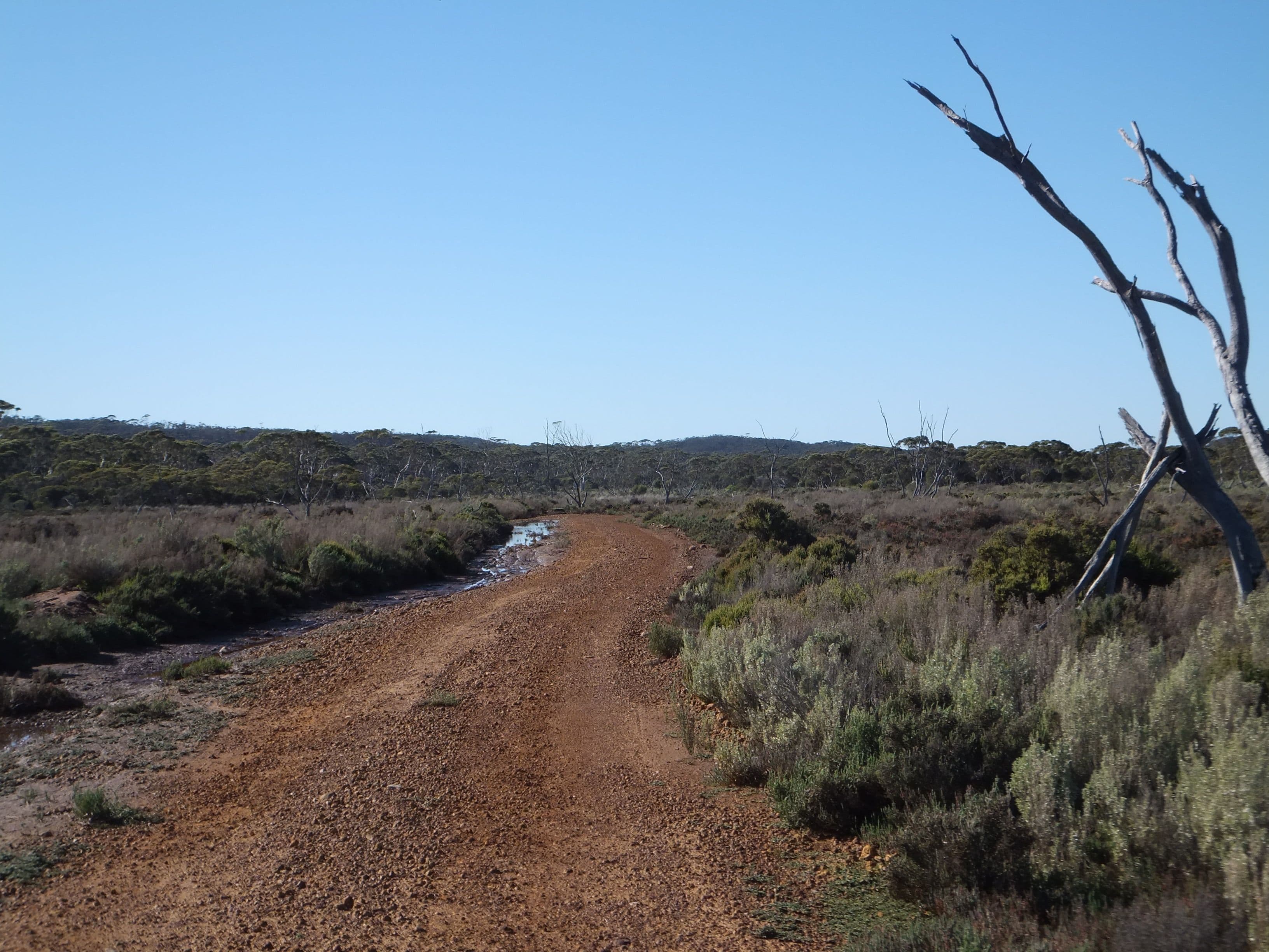 Lot 381 South Coast Highway, Ravensthorpe WA 6346, Ravensthorpe - Thumbnail 3