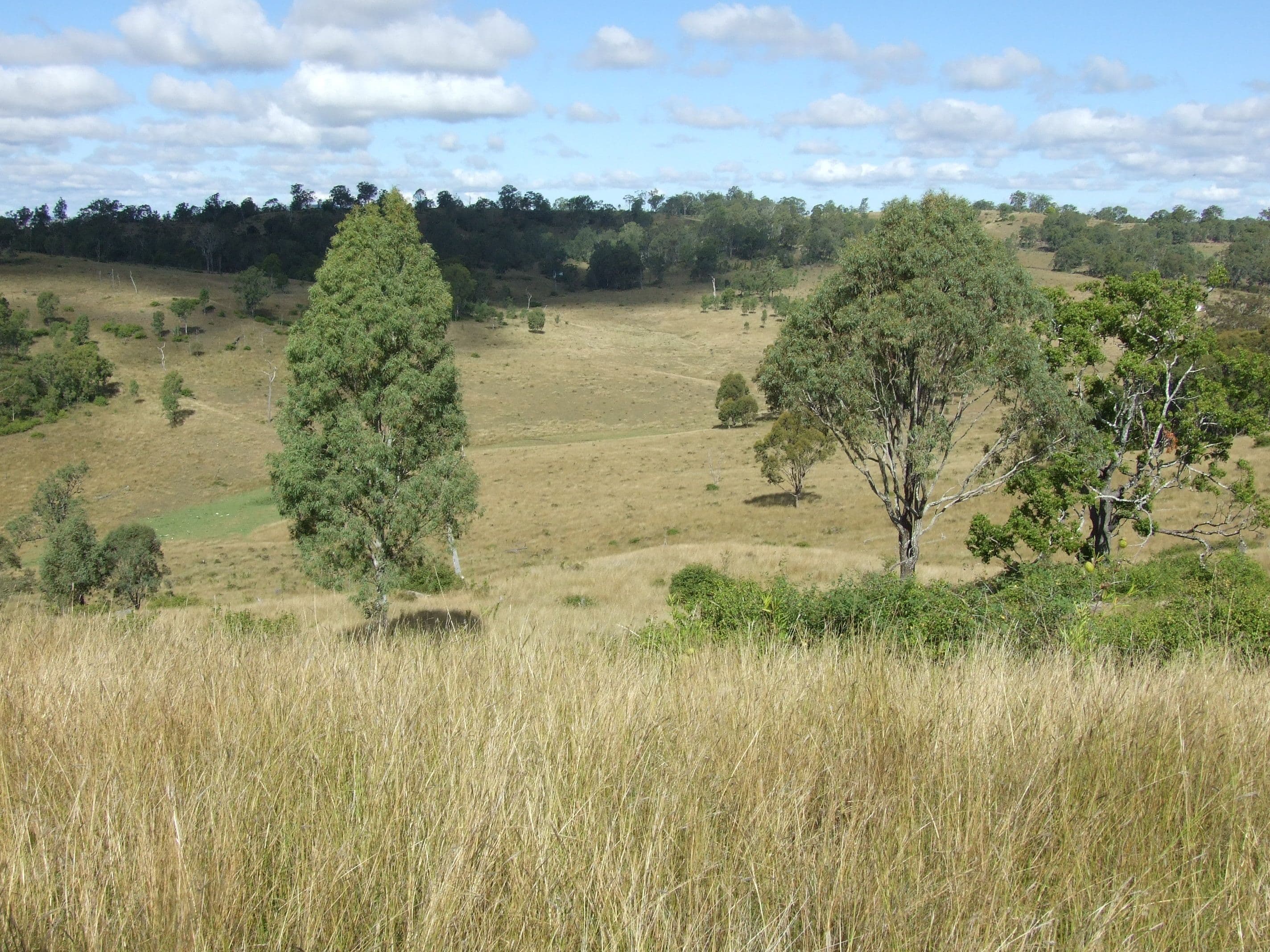 L40 Rocky Gully Road, CROWS NEST QLD 4355, Crows Nest - Thumbnail 8