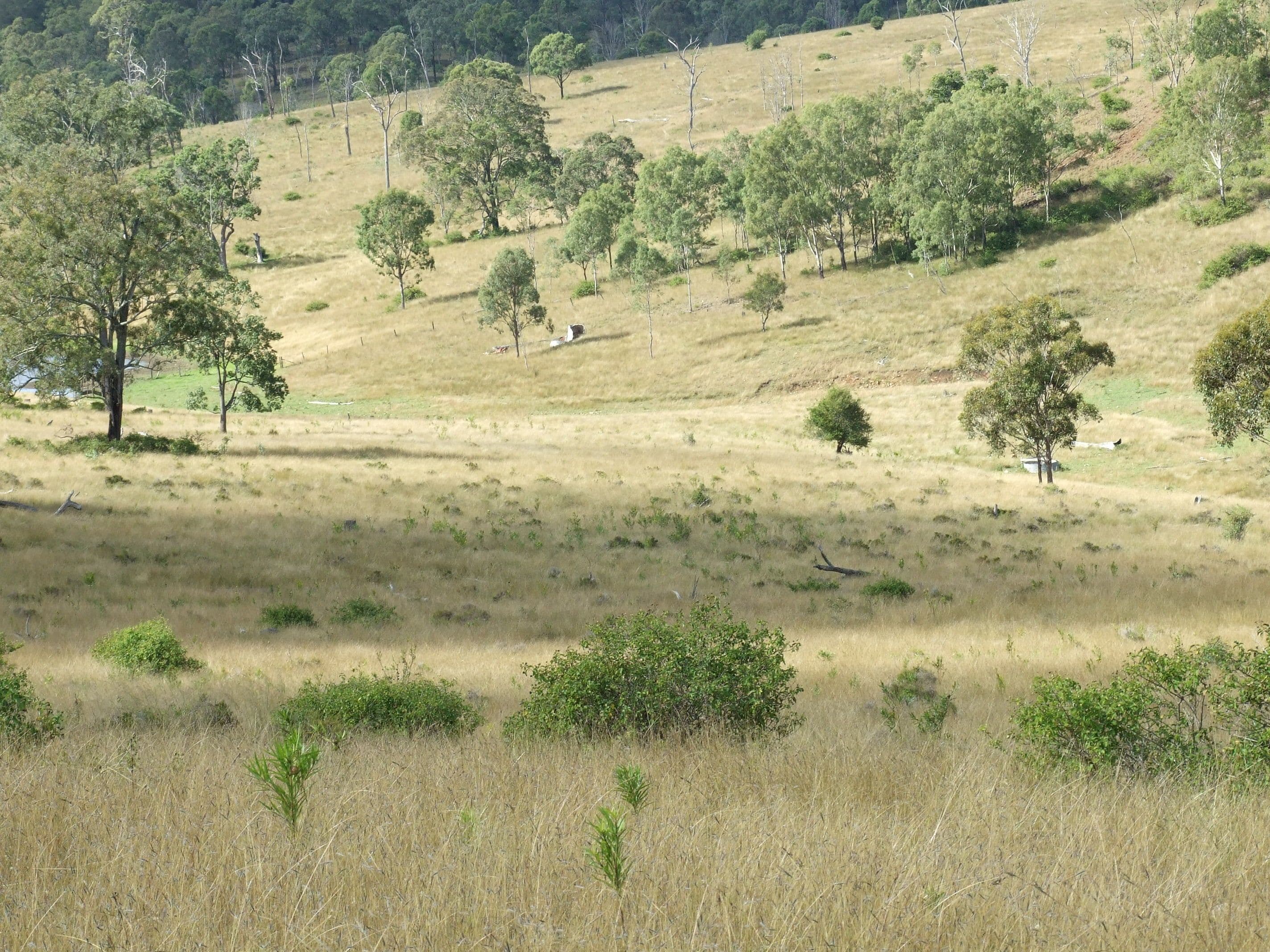 L40 Rocky Gully Road, CROWS NEST QLD 4355, Crows Nest - Image 1