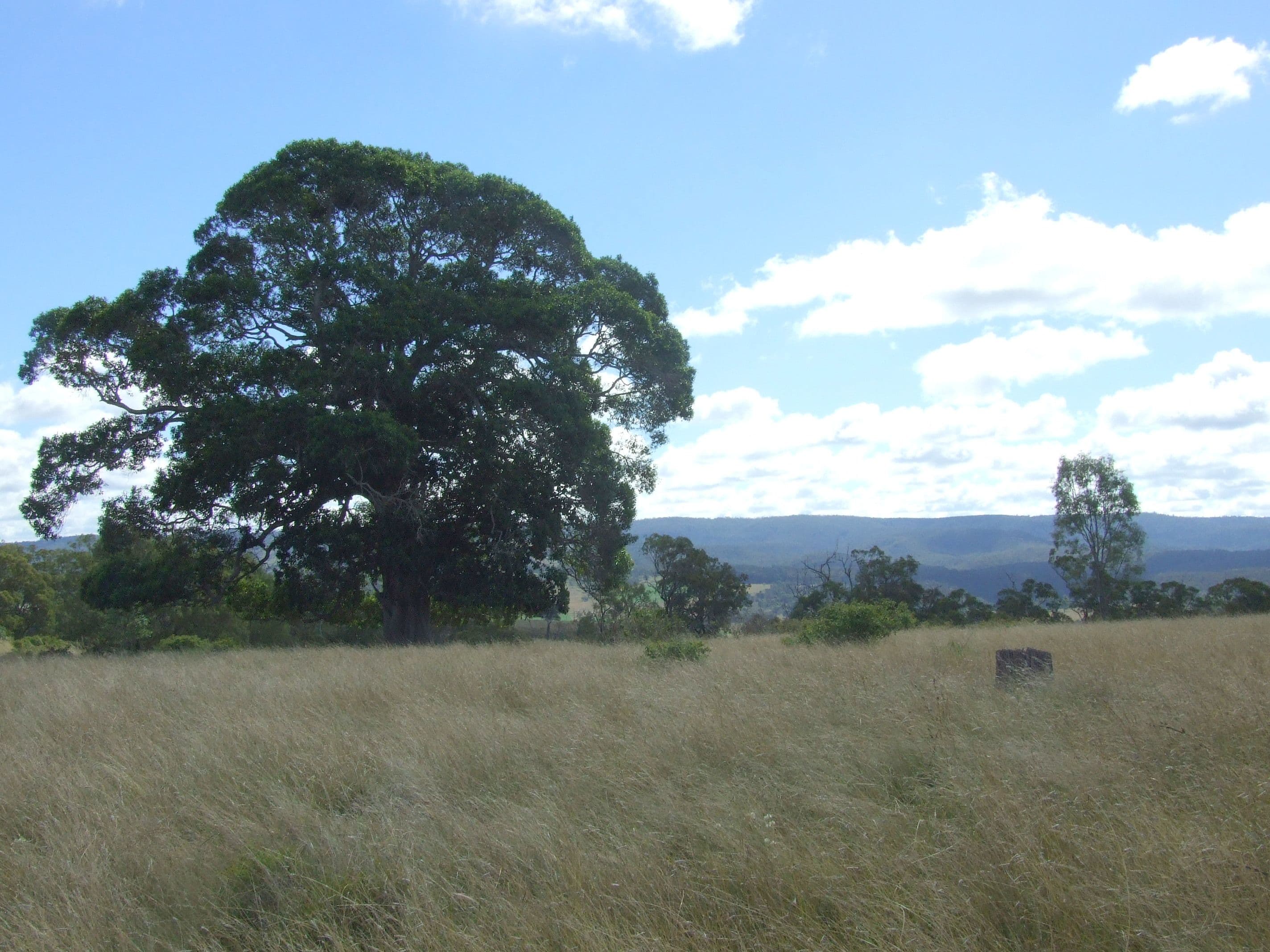 L40 Rocky Gully Road, CROWS NEST QLD 4355, Crows Nest - Thumbnail 6