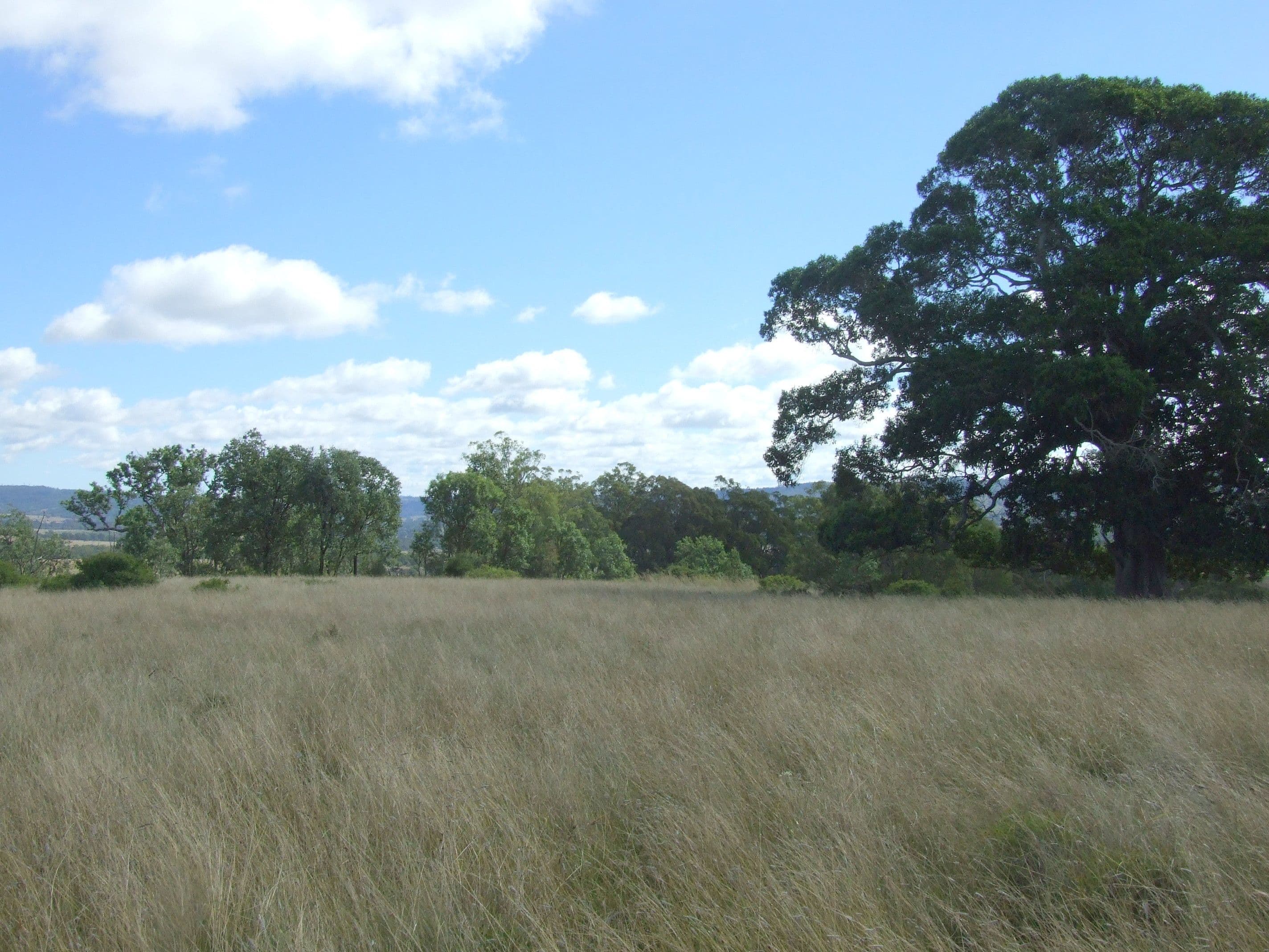 L40 Rocky Gully Road, CROWS NEST QLD 4355, Crows Nest - Thumbnail 7