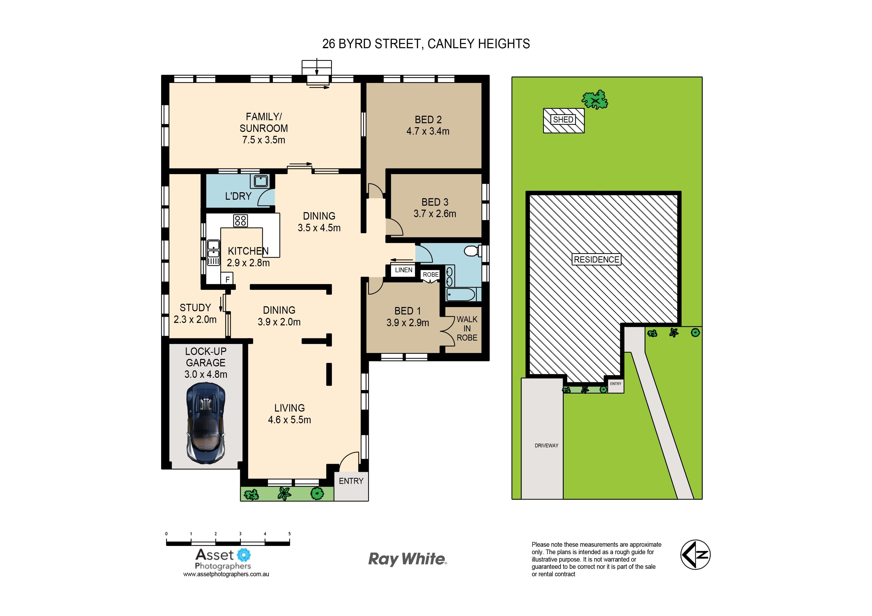 26 Byrd Street, Canley Heights - Thumbnail 6