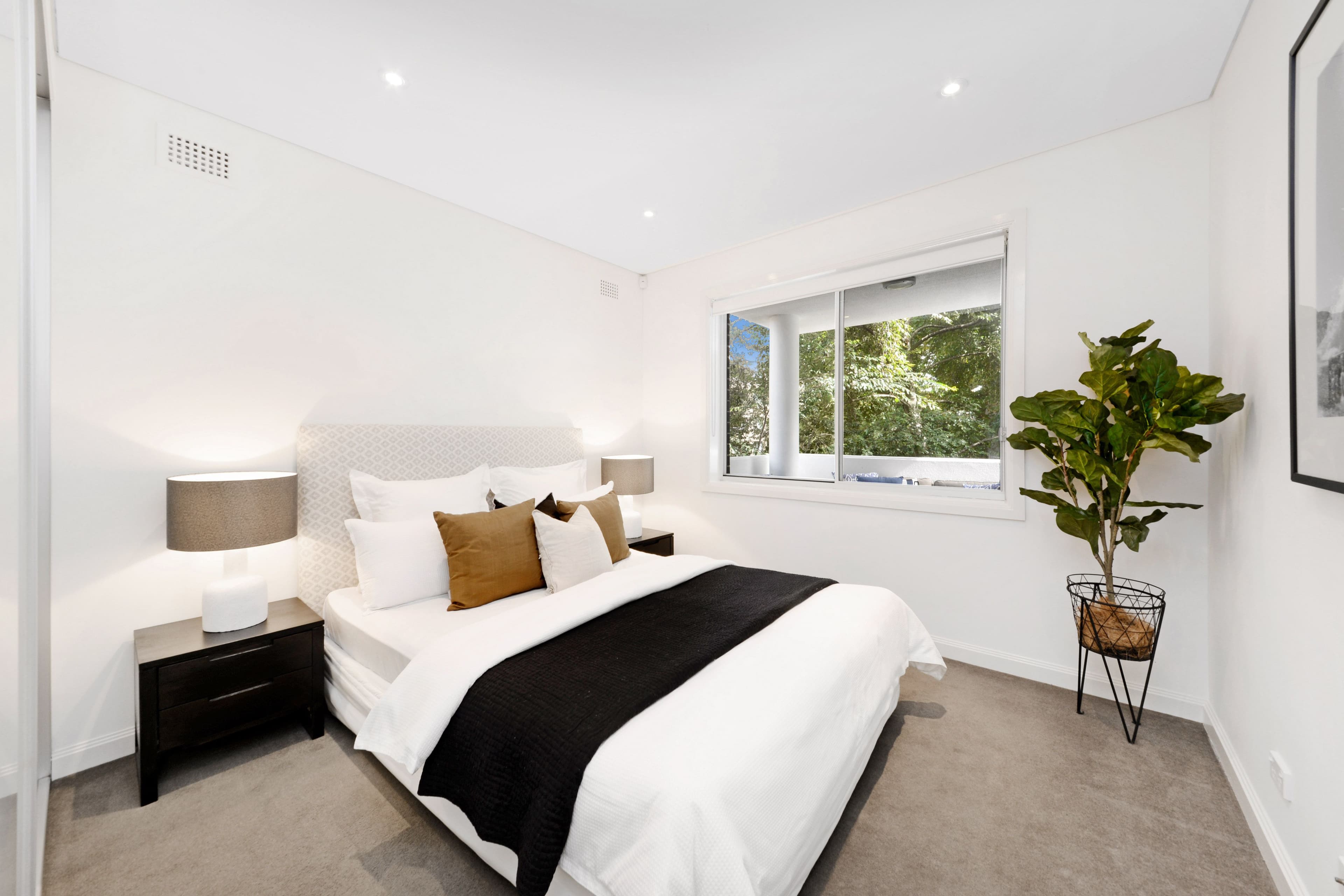 2-8 William Street, Randwick NSW 2031, Randwick - Thumbnail 4
