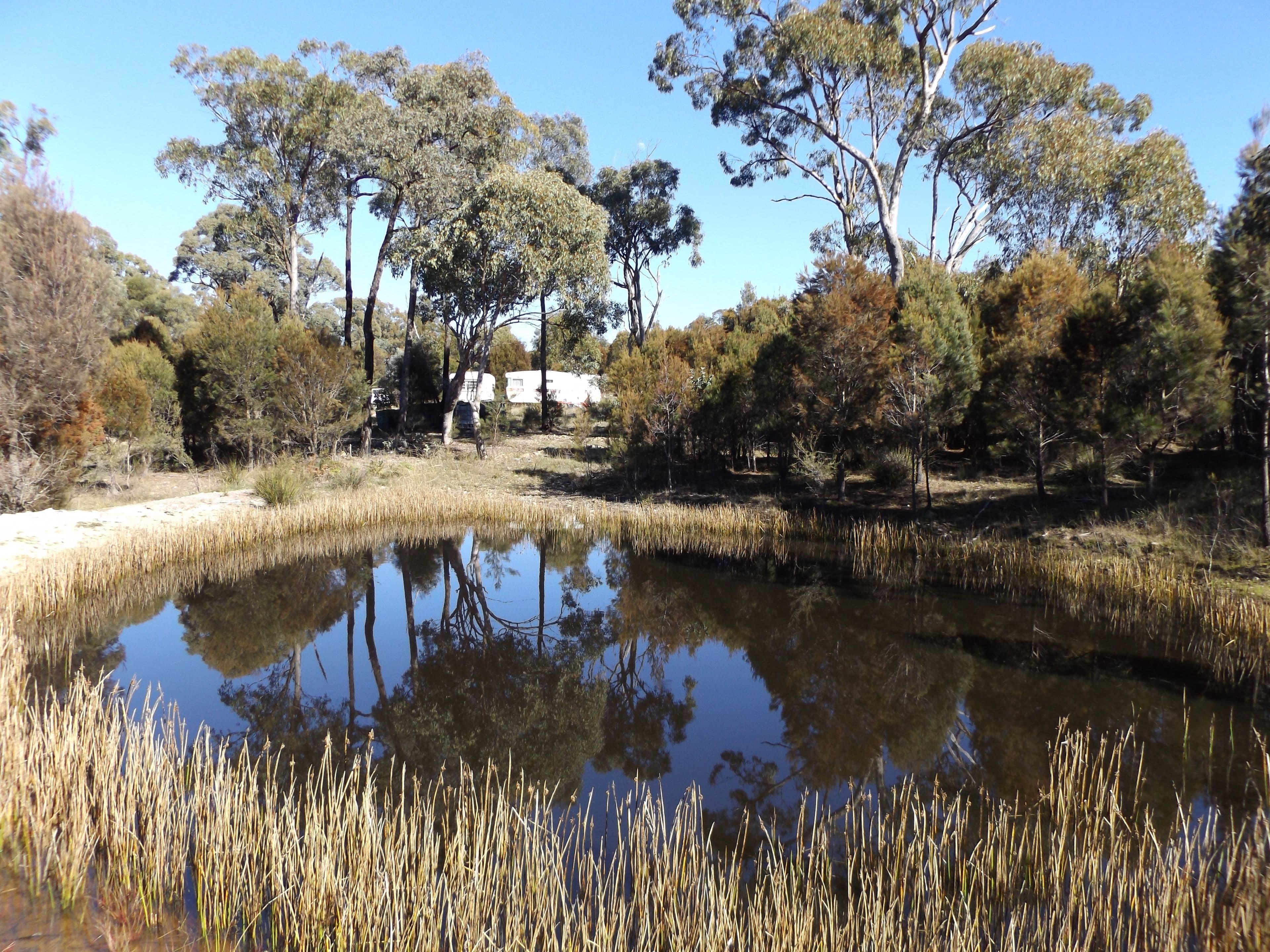 2285 Emmaville Road, Glen Innes NSW 2370, Glen Innes - Thumbnail 2