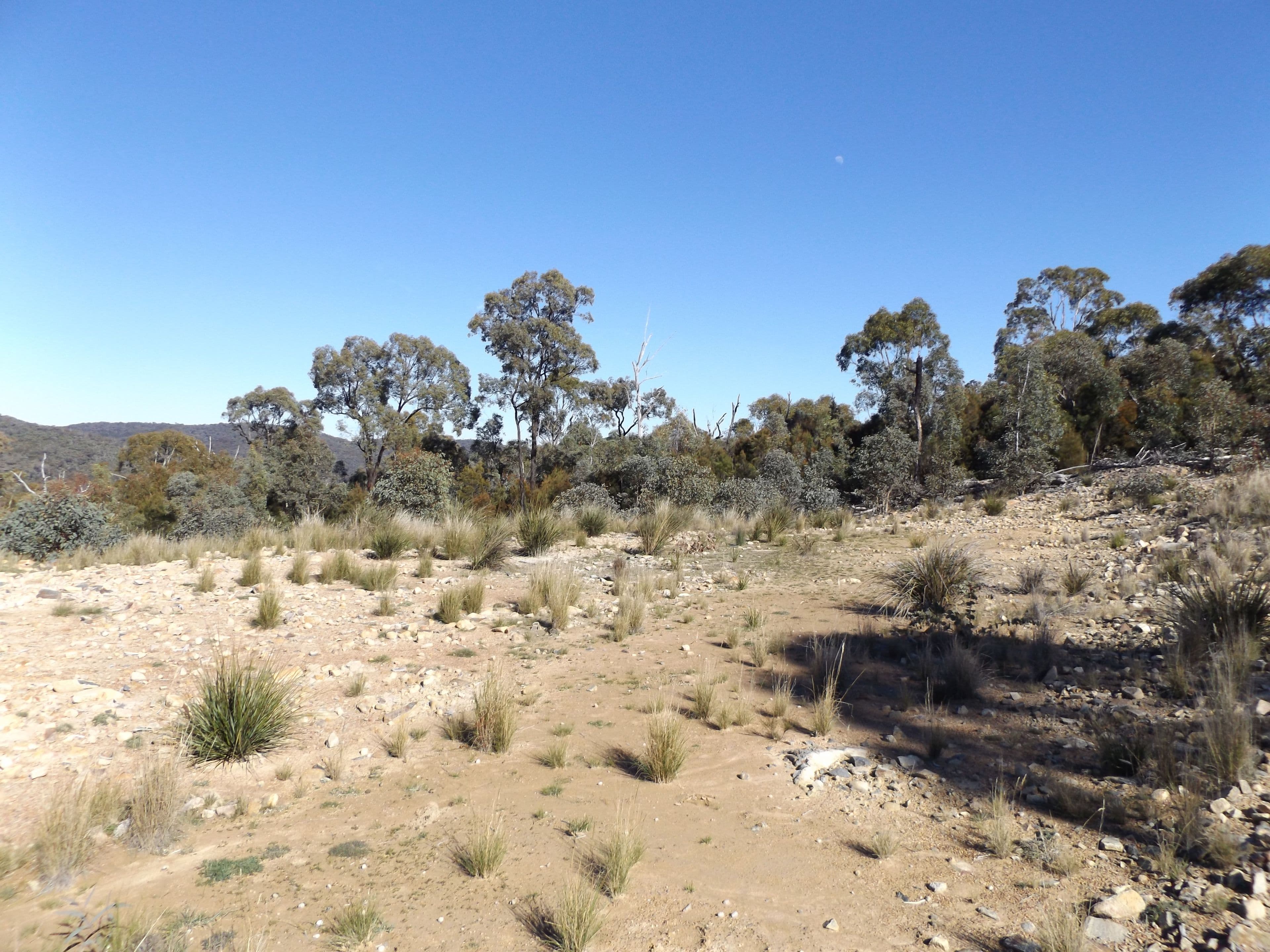2285 Emmaville Road, Glen Innes NSW 2370, Glen Innes - Thumbnail 7