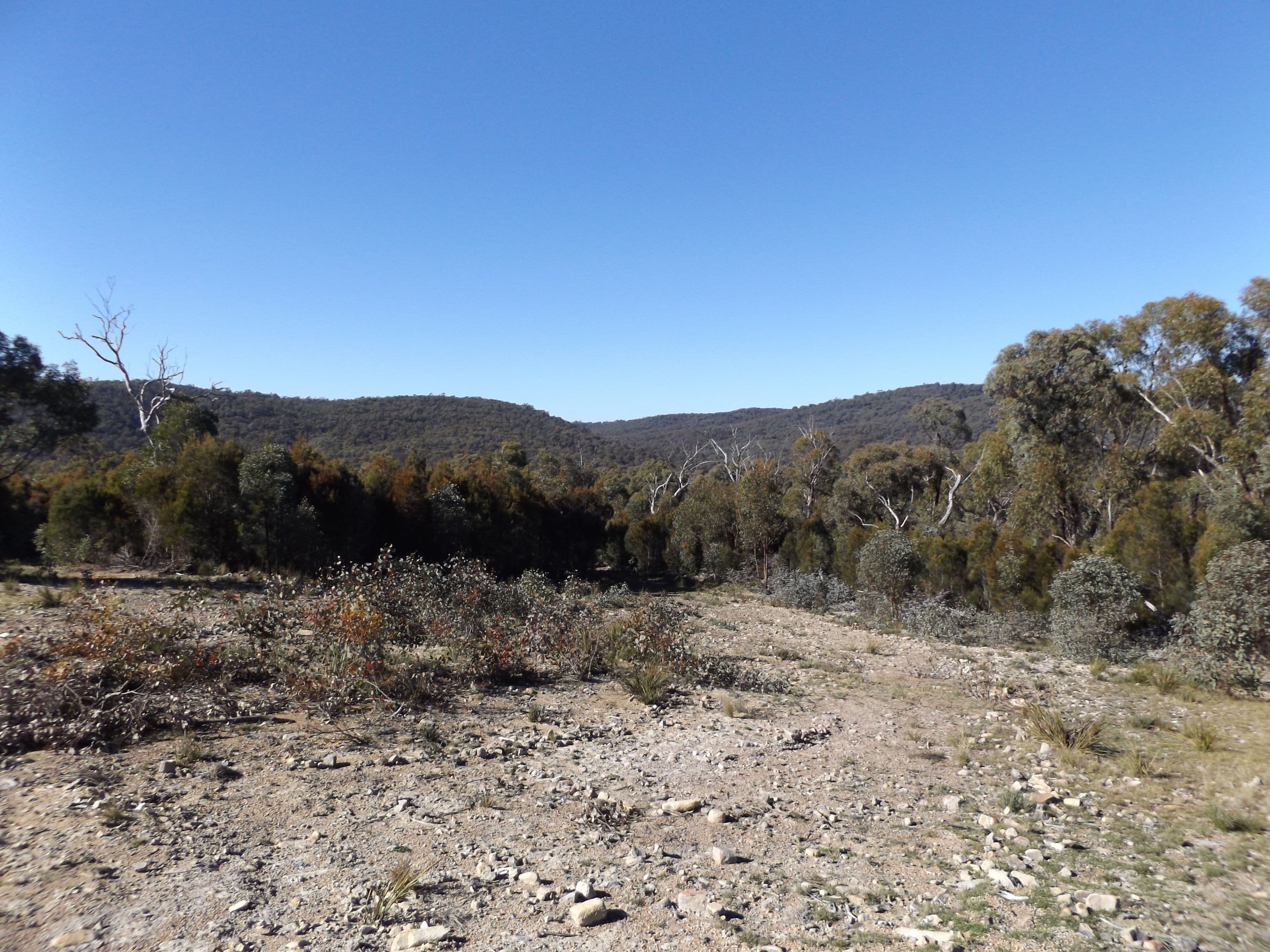 2285 Emmaville Road, Glen Innes NSW 2370, Glen Innes - Thumbnail 8
