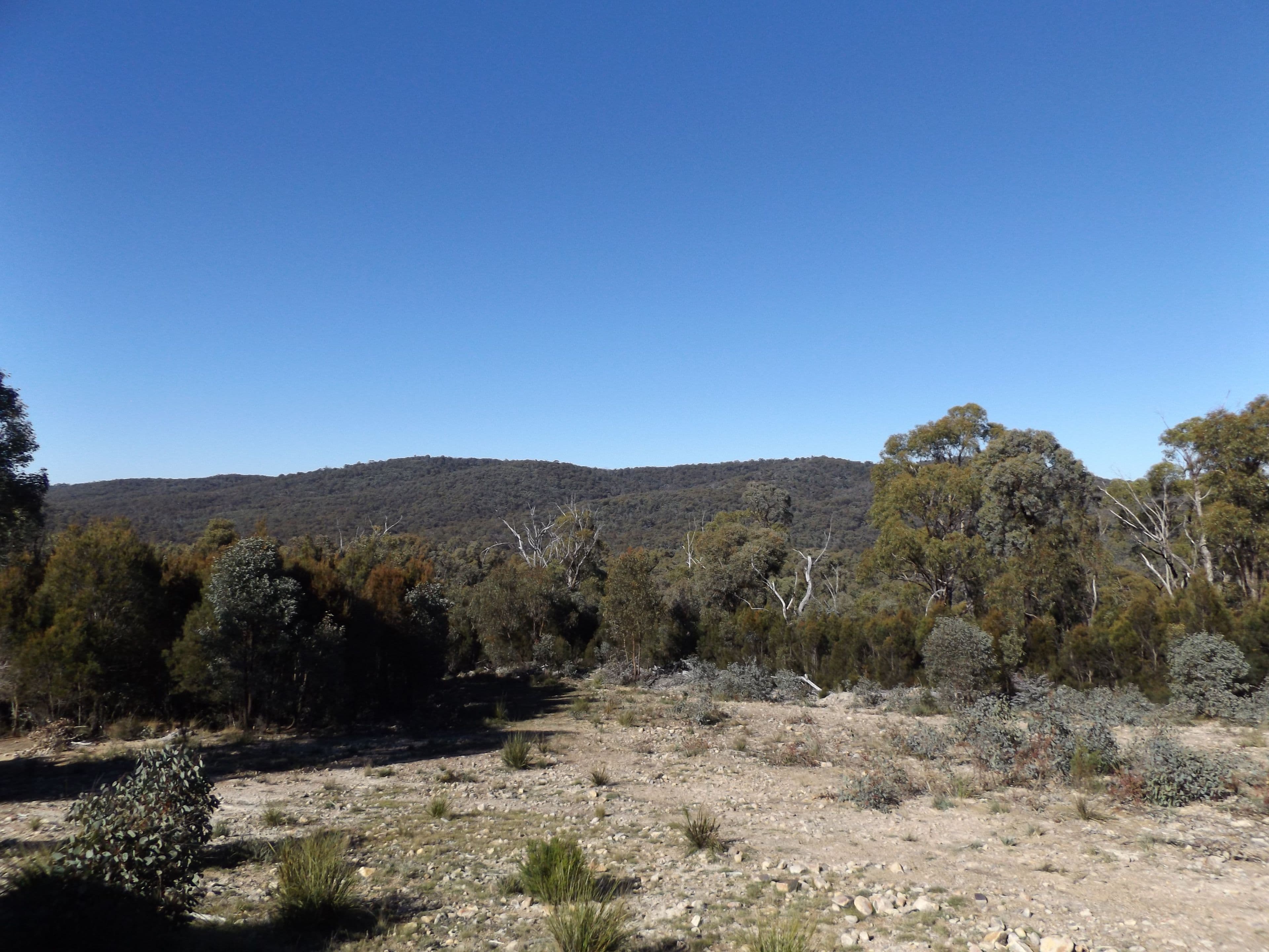 2285 Emmaville Road, Glen Innes NSW 2370, Glen Innes - Thumbnail 6