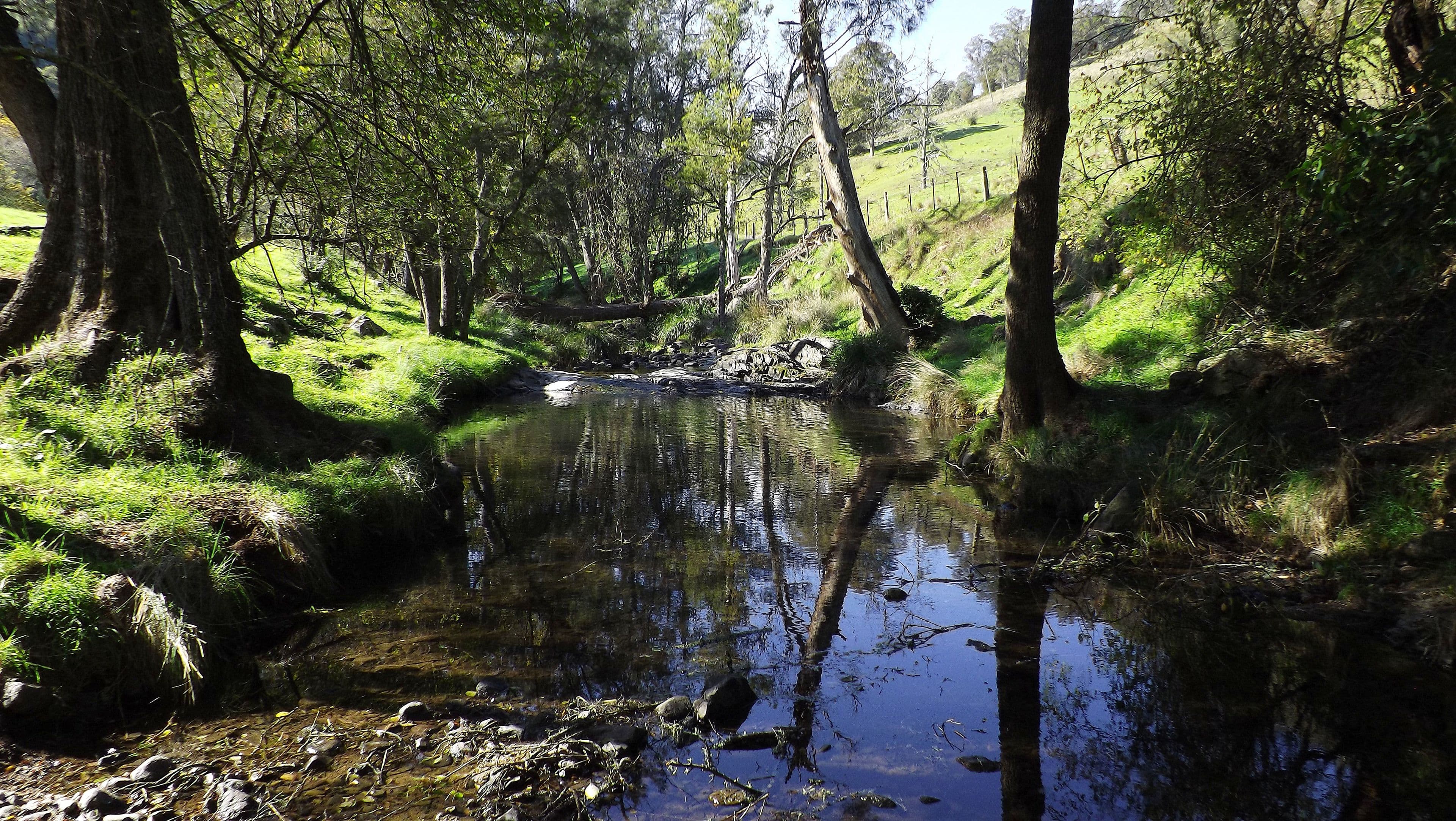 2357 Stewarts Brook Road, SCONE NSW 2337, Scone - Thumbnail 6
