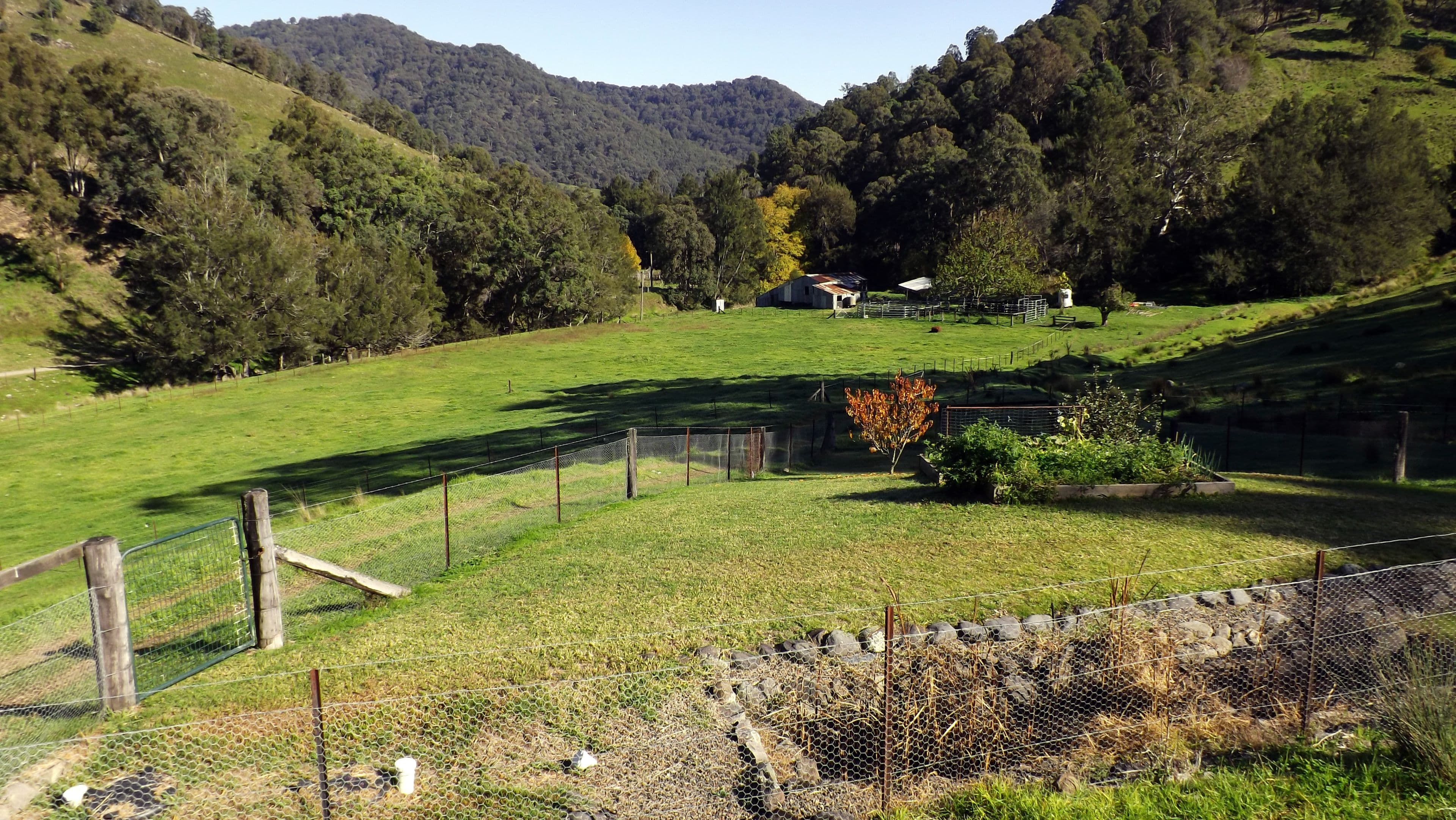 2357 Stewarts Brook Road, SCONE NSW 2337, Scone - Thumbnail 3