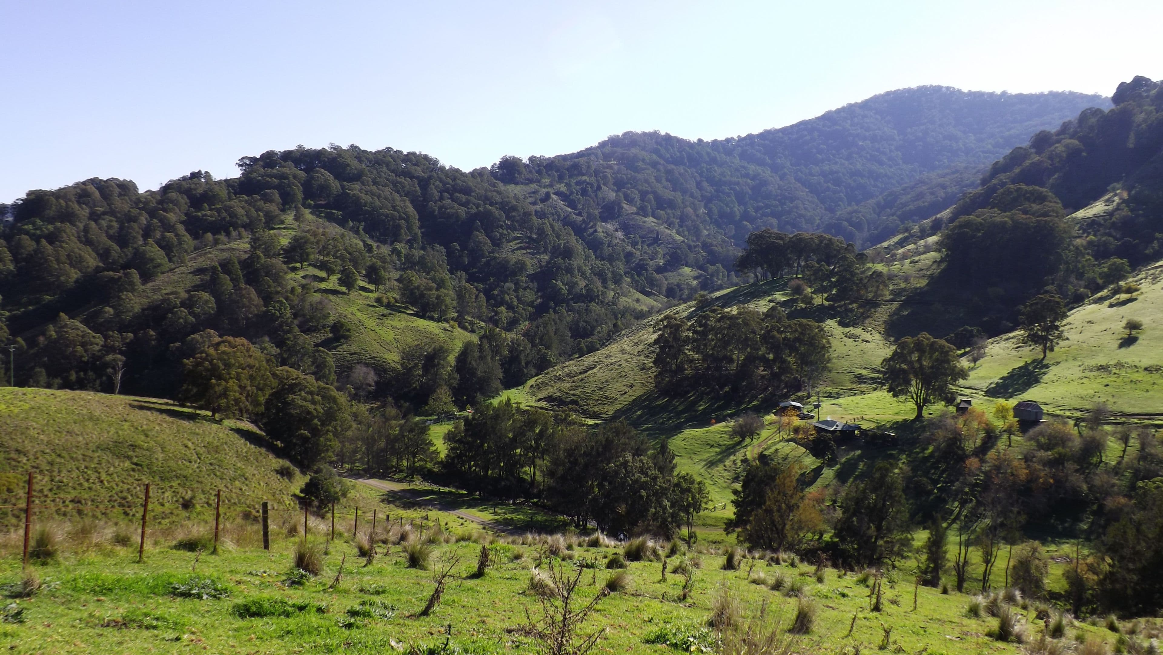 2357 Stewarts Brook Road, SCONE NSW 2337, Scone - Thumbnail 4