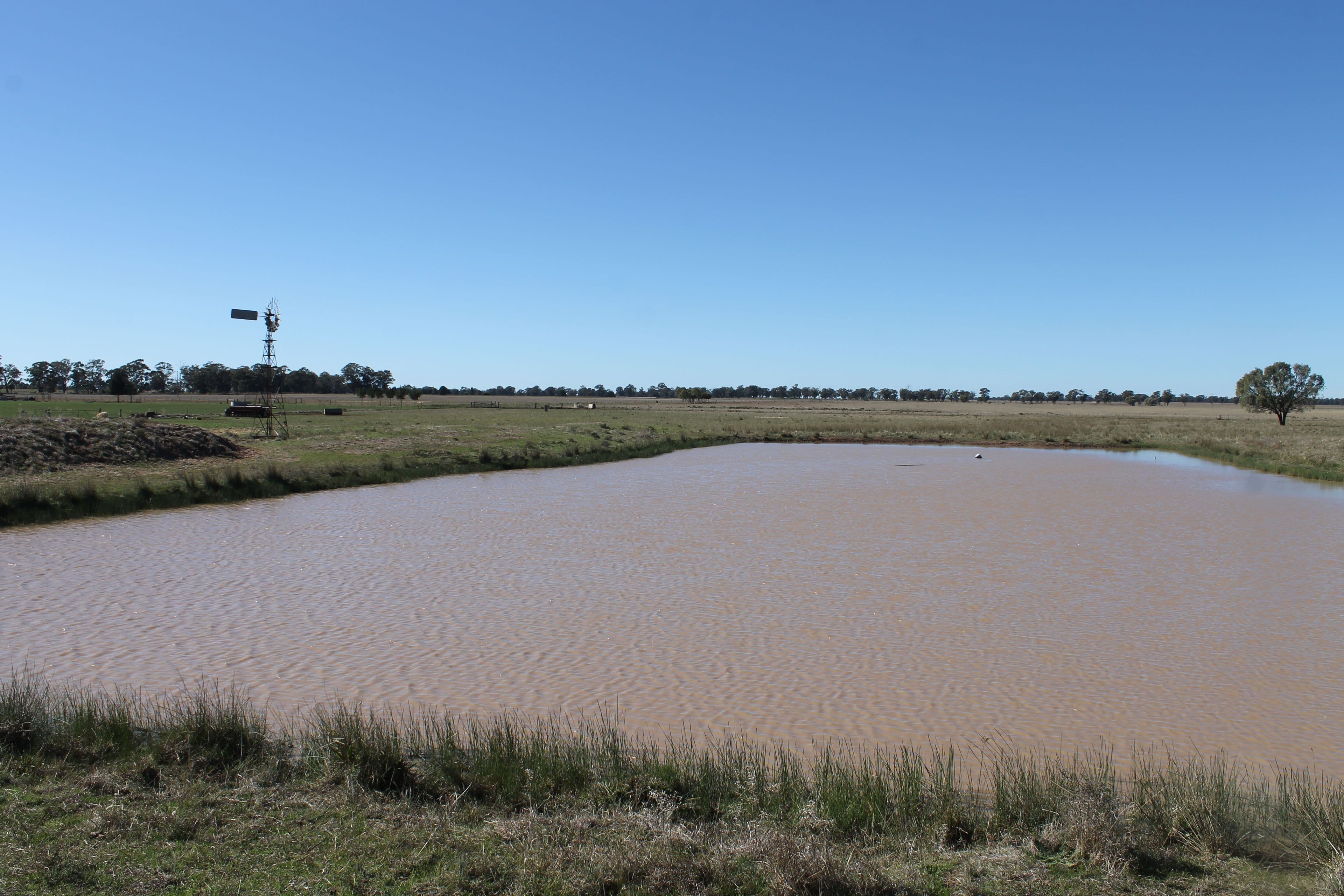 'Nerange', 152 Ellis Road, GILGANDRA NSW 2827, Gilgandra - Thumbnail 5