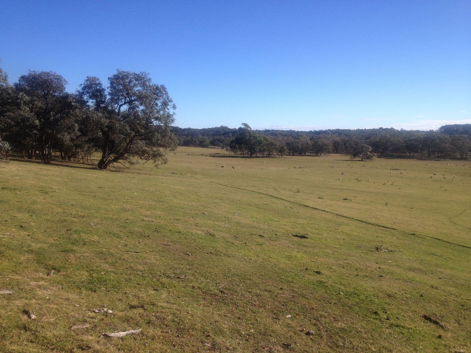 Lot 2, 156 Old Hume Highway, Marulan NSW 2579, Marulan - Thumbnail 4