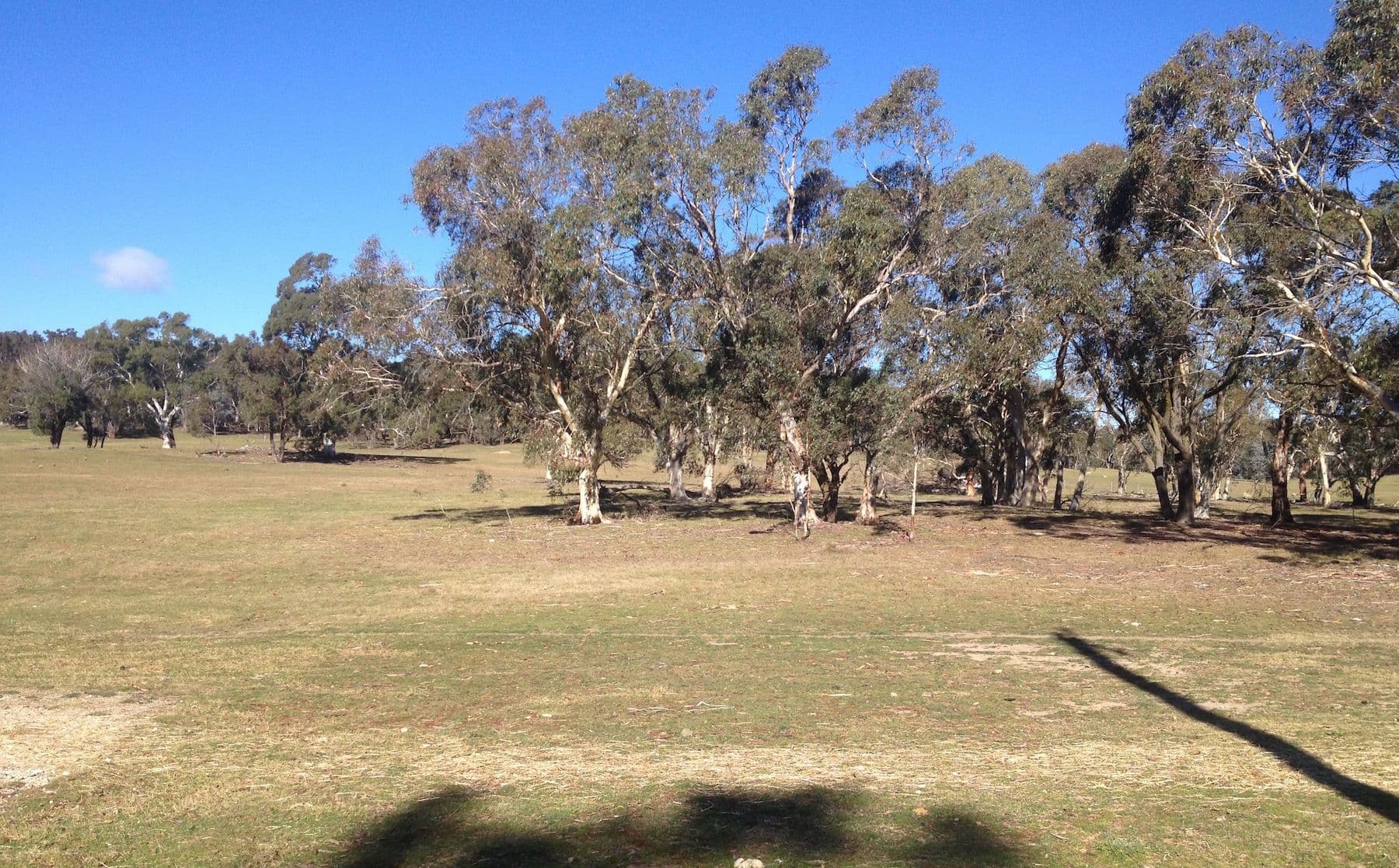 Lot 2, 156 Old Hume Highway, Marulan NSW 2579, Marulan - Thumbnail 6