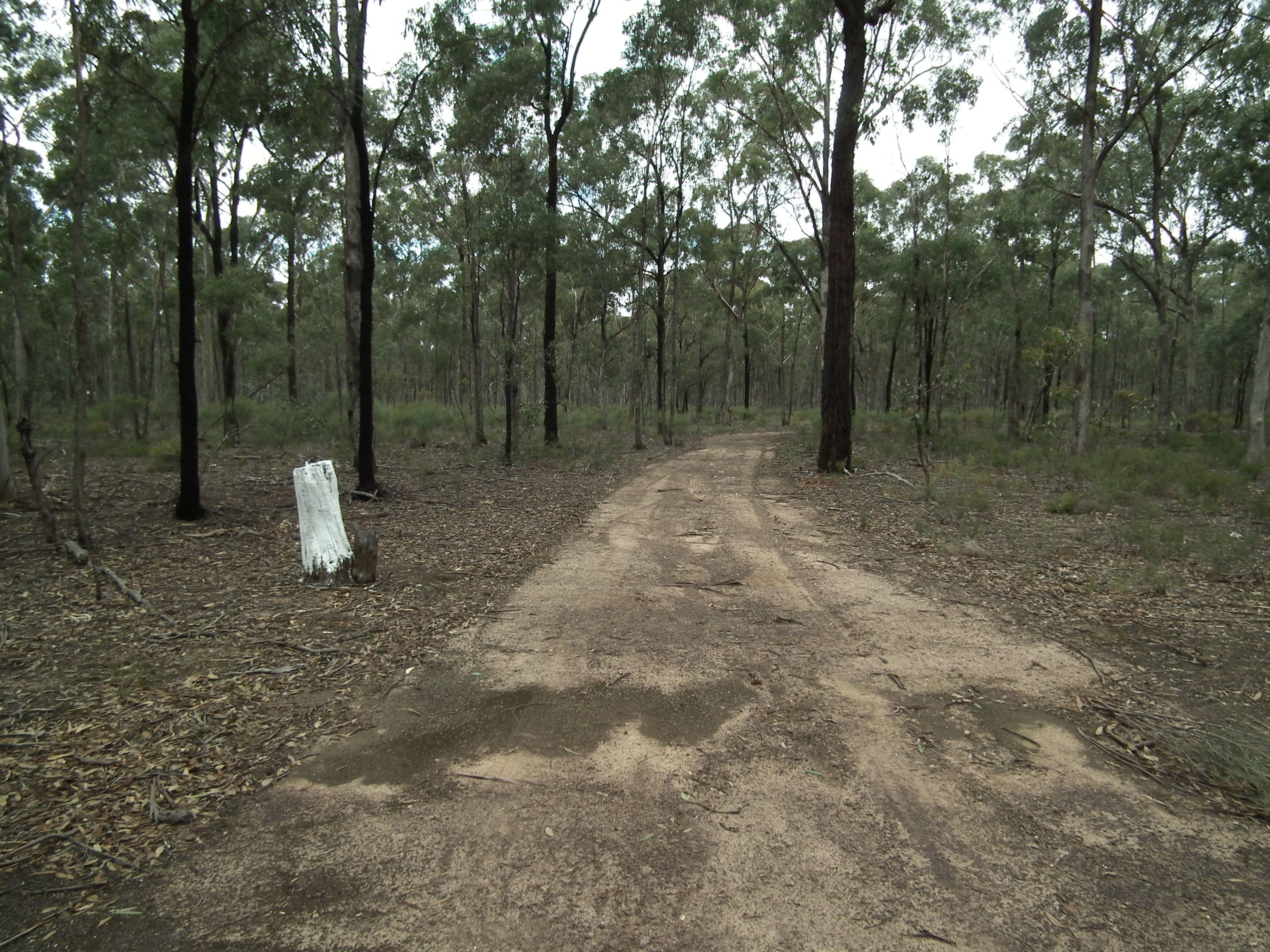 60 Whroo Vale Court, Whroo VIC 3612, Whroo - Image 1