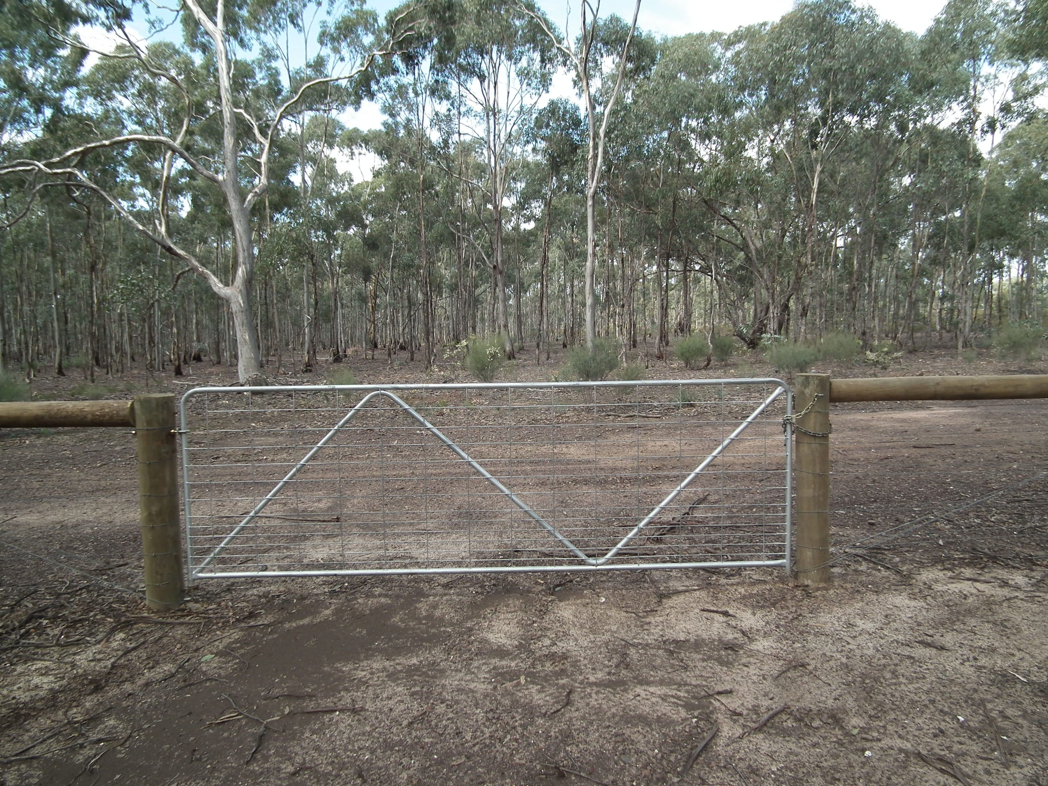 60 Whroo Vale Court, Whroo VIC 3612, Whroo - Thumbnail 2