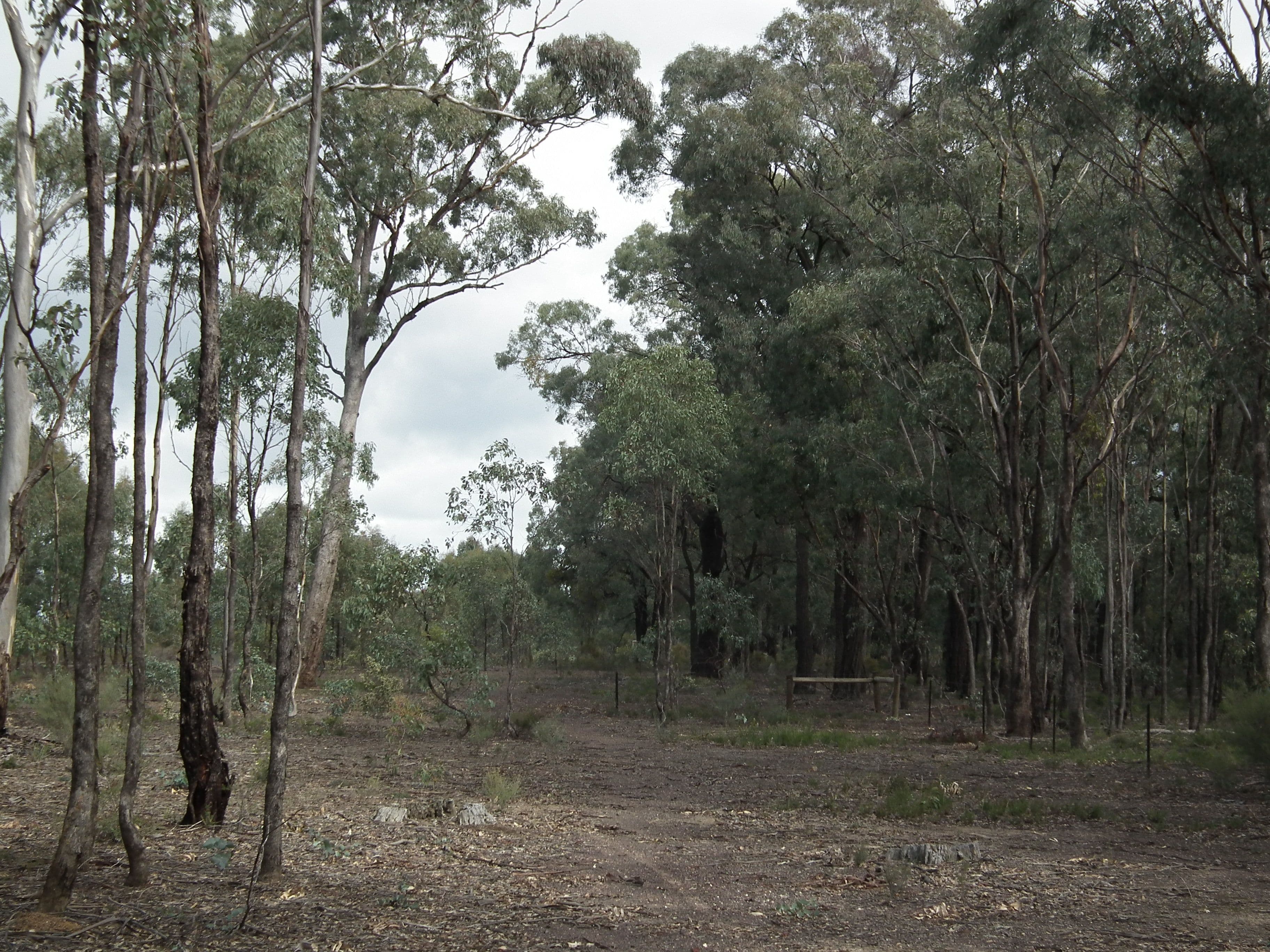 60 Whroo Vale Court, Whroo VIC 3612, Whroo - Thumbnail 5