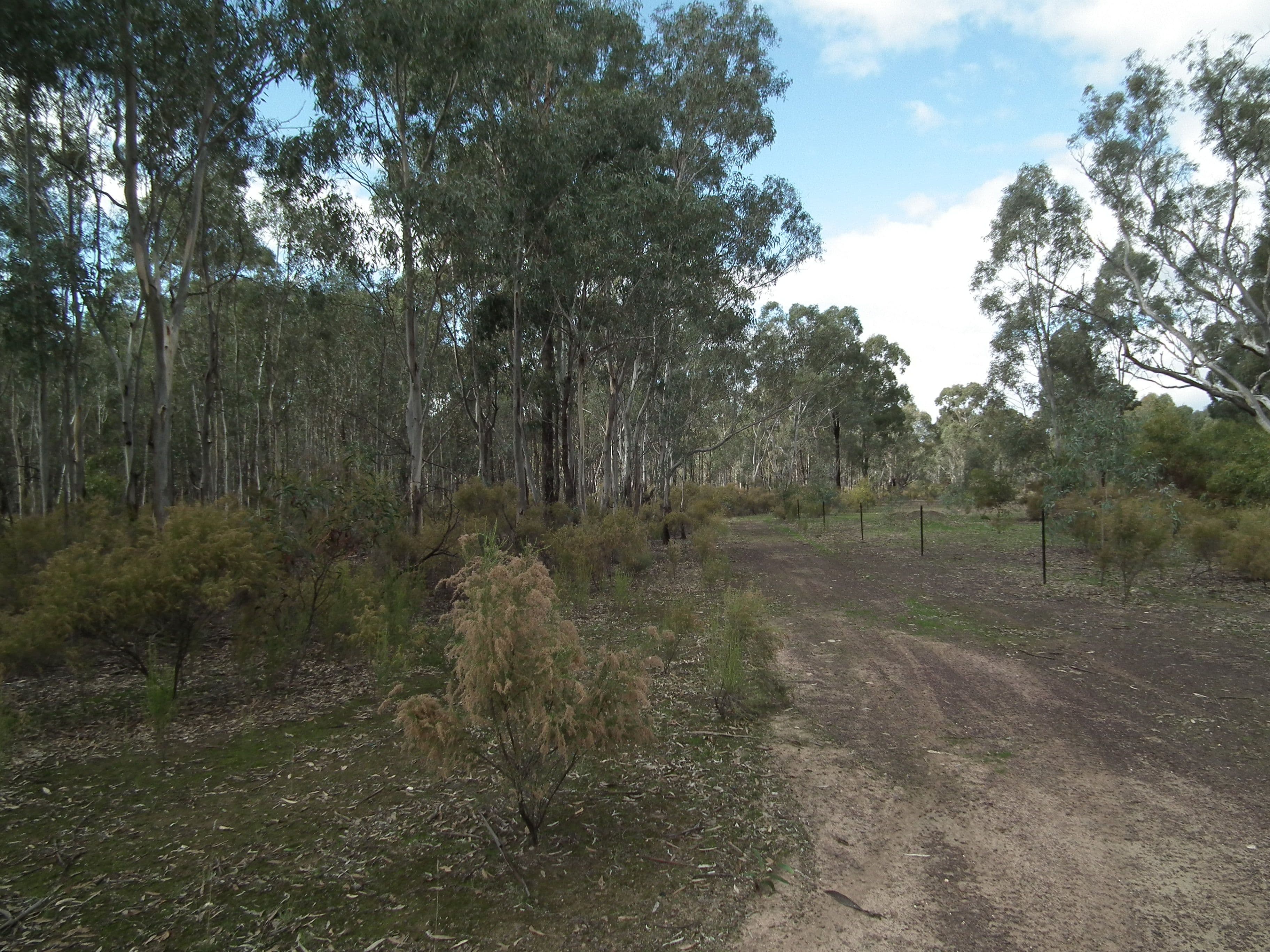 60 Whroo Vale Court, Whroo VIC 3612, Whroo - Thumbnail 7