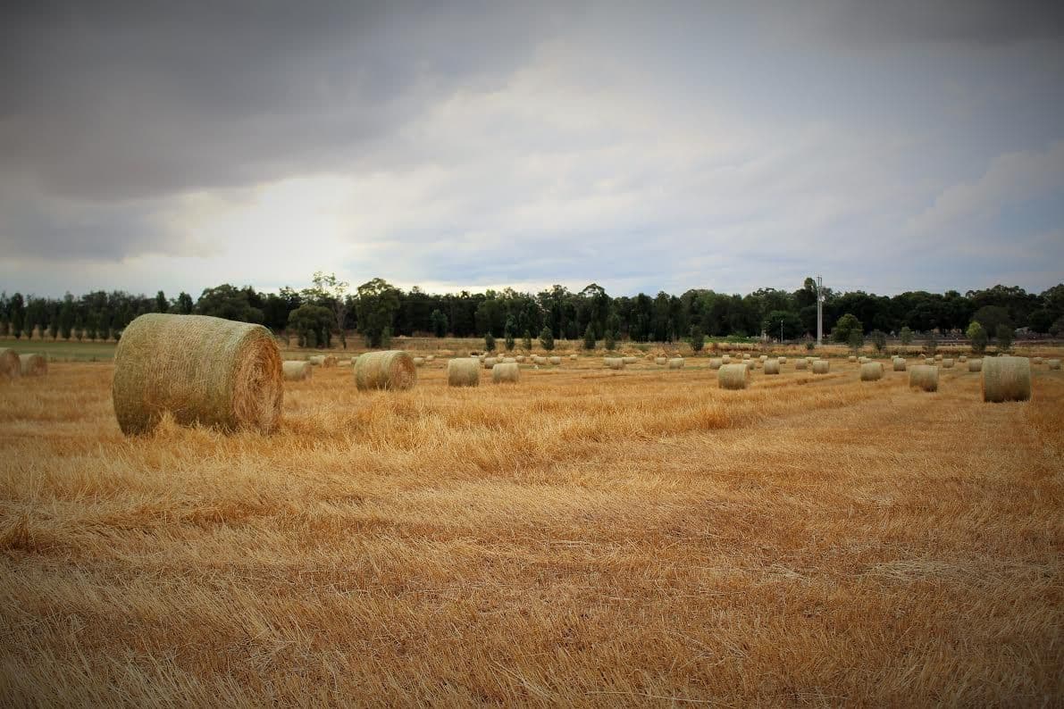 'Rothbury' Rothbury Road, COWRA NSW 2794, Cowra - Thumbnail 2