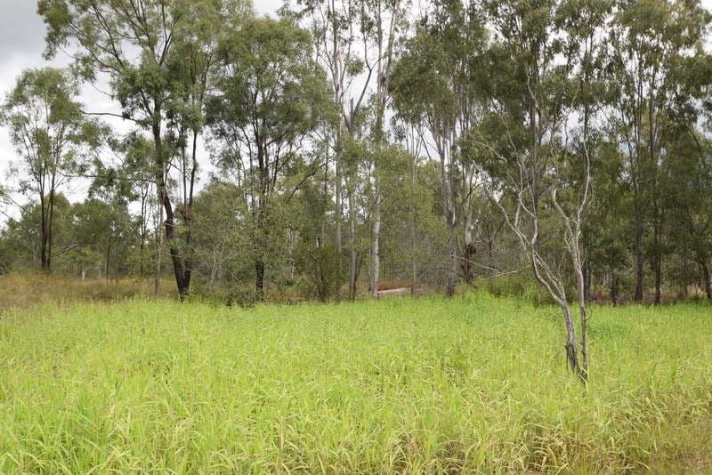 554 Coominya Connection Road, Coominya QLD 4311, Coominya - Thumbnail 5