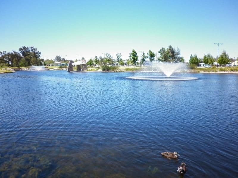 32 Flecker Prom, Aveley WA 6069, Aveley - Thumbnail 8