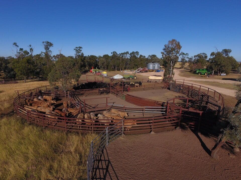 1553 Humbug Road, The Gums QLD 4406, The Gums - Thumbnail 4