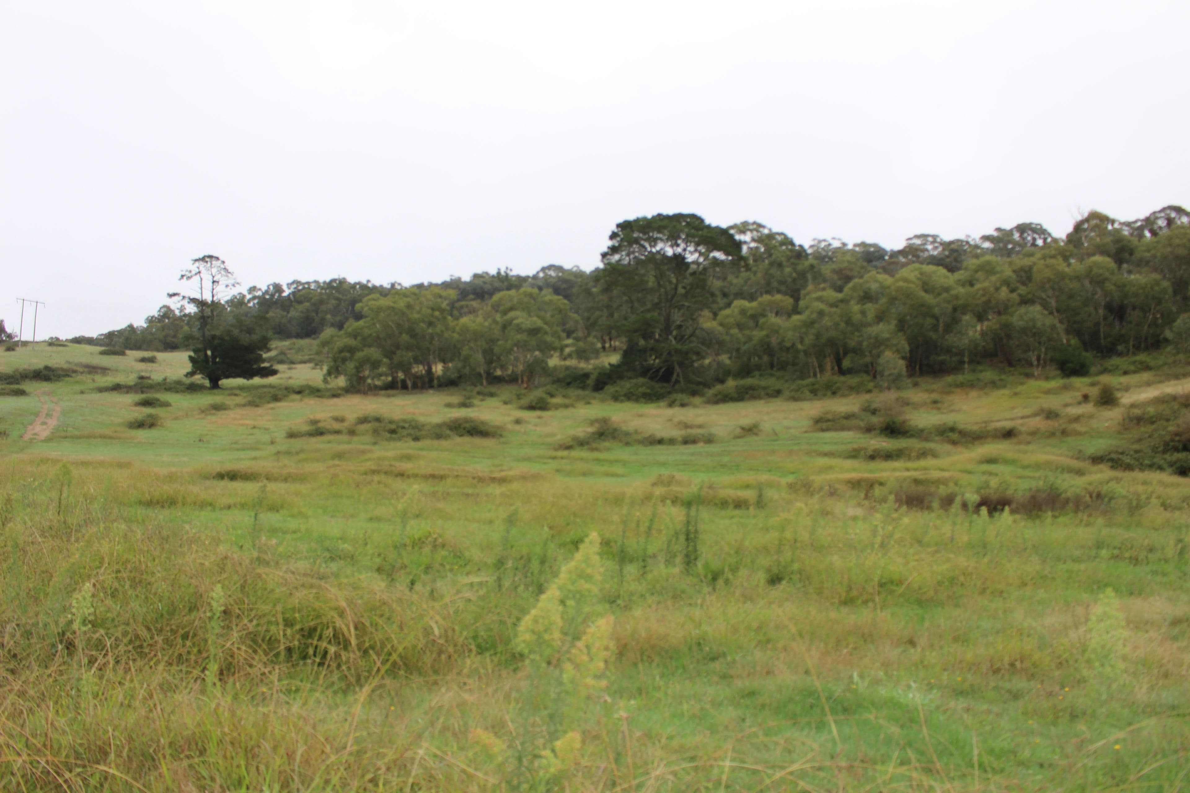 Lot 1 Charles Street, Rydal NSW 2790, Rydal - Image 1