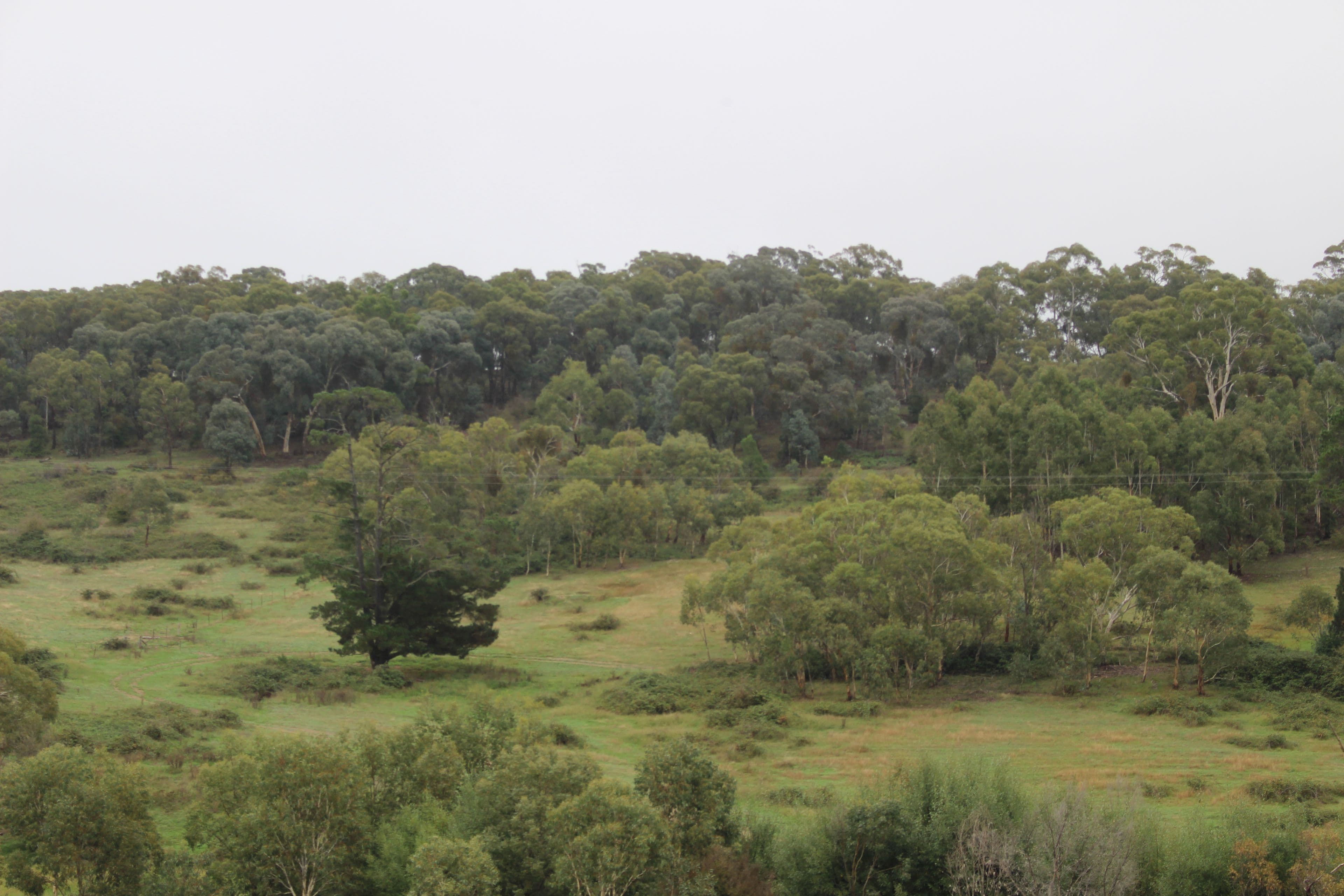 Lot 2 Charles Street, Rydal NSW 2790, Rydal - Thumbnail 5