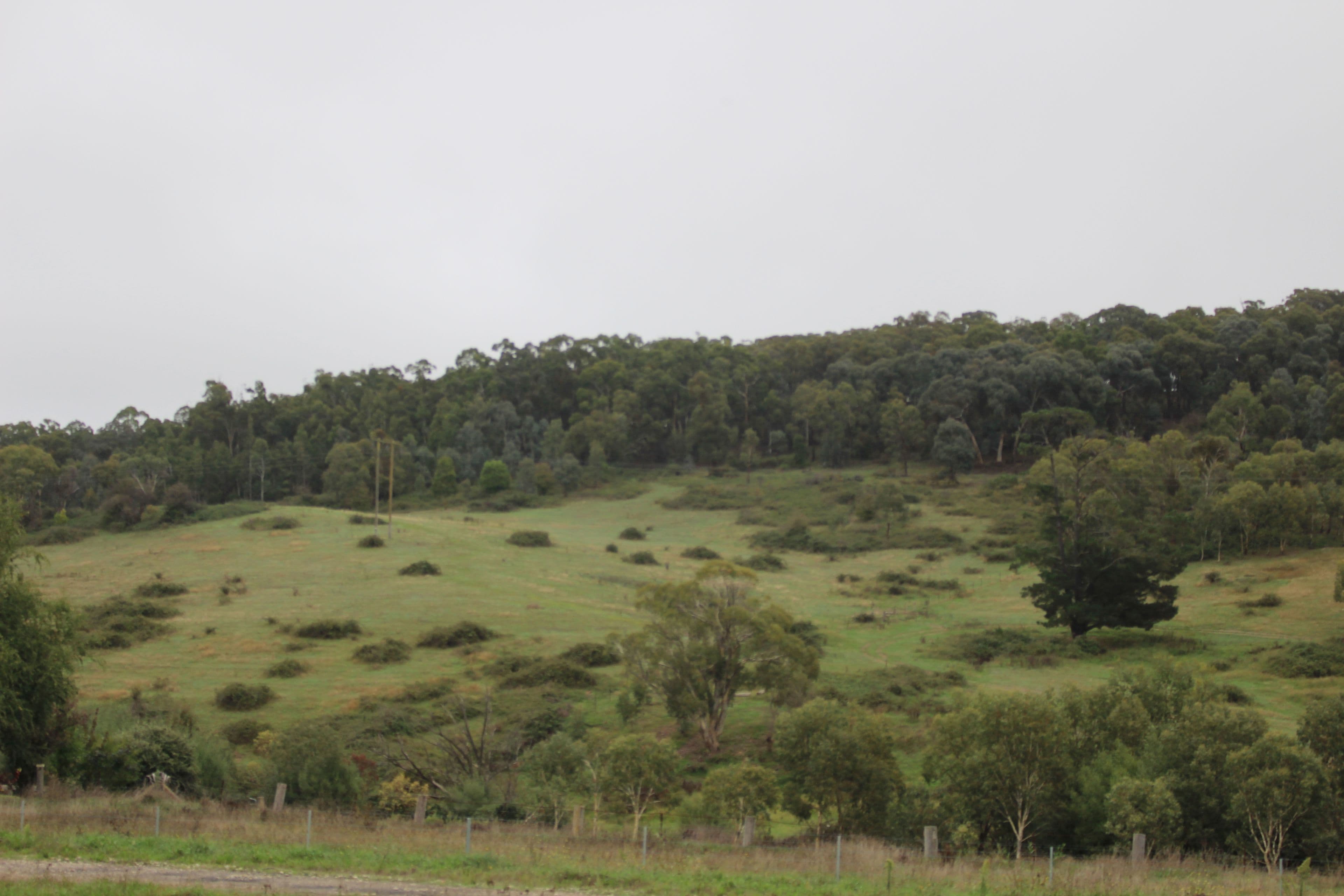 Lot 2 Charles Street, Rydal NSW 2790, Rydal - Thumbnail 3