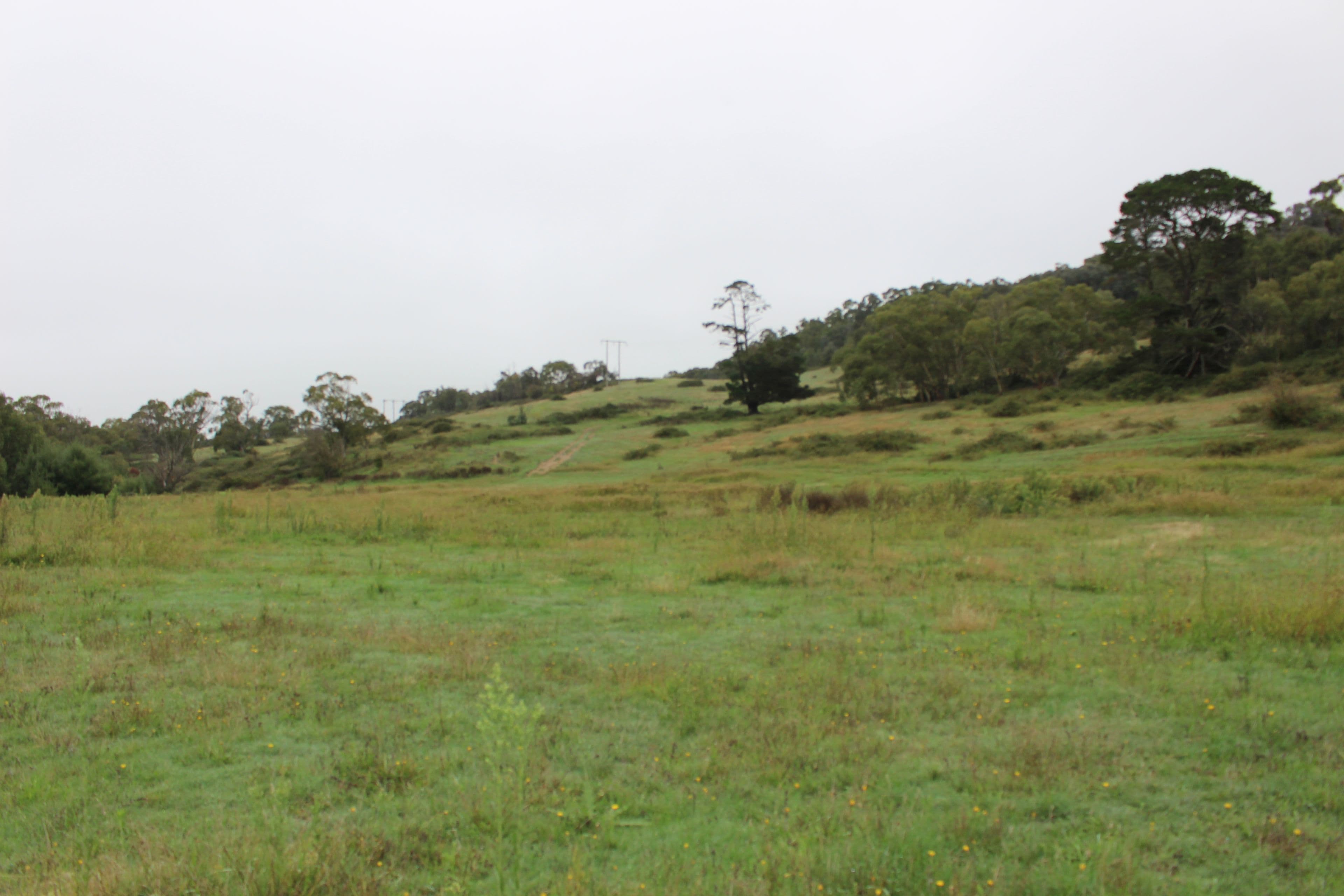 Lot 2 Charles Street, Rydal NSW 2790, Rydal - Image 1