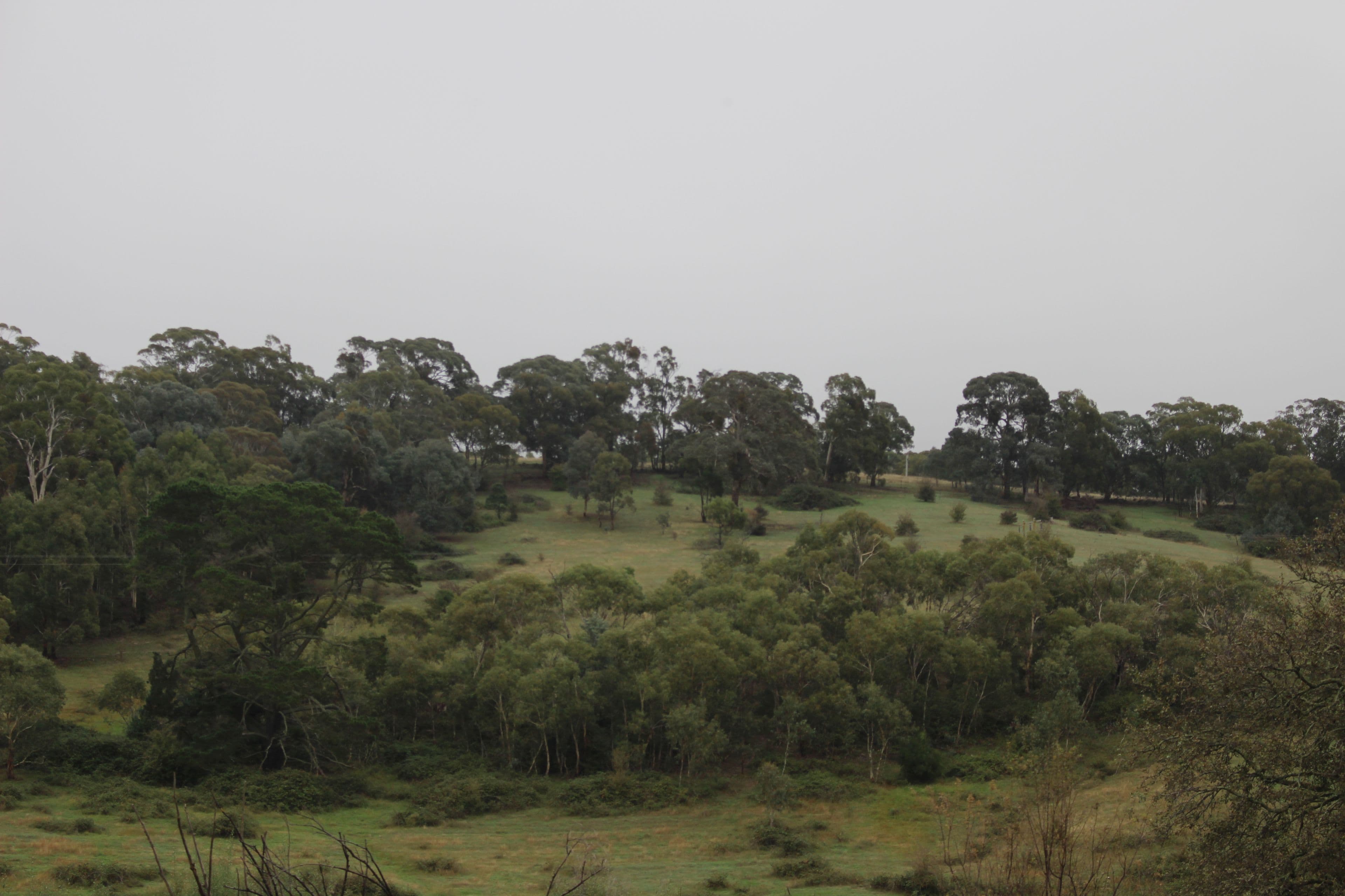 Lot 2 Charles Street, Rydal NSW 2790, Rydal - Thumbnail 4