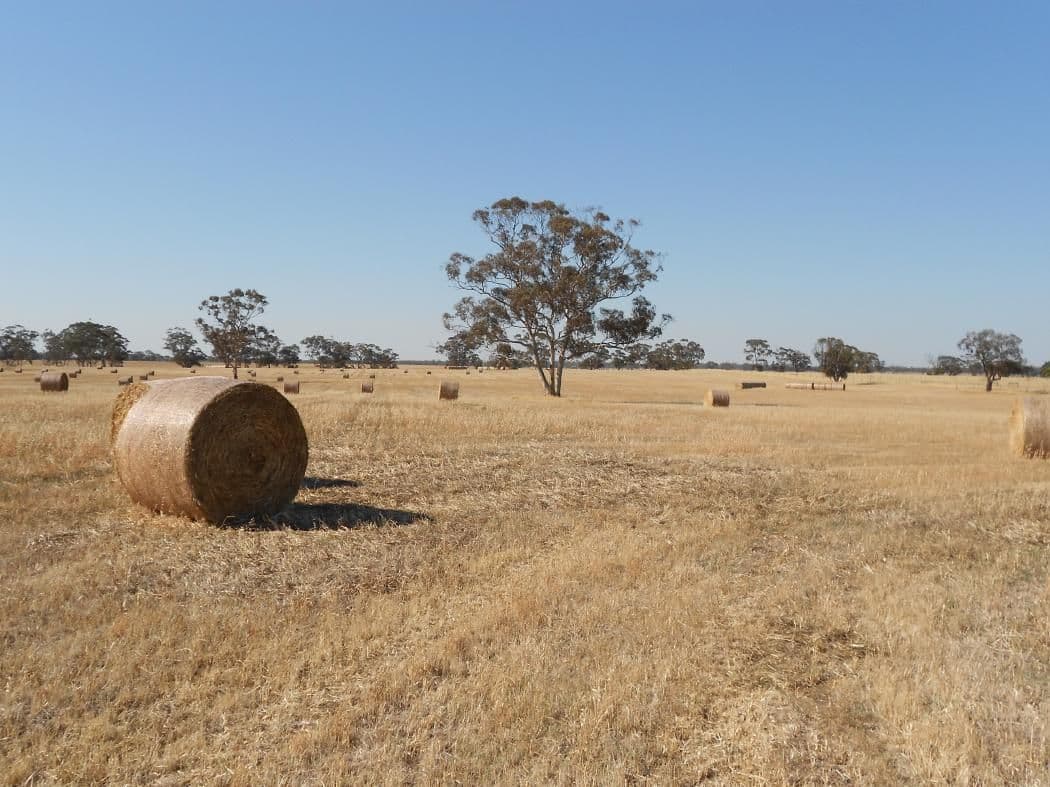 12 Col Watson Road, Mundulla SA 5270, Mundulla - Thumbnail 2