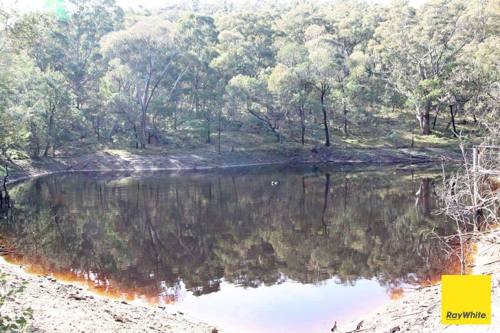 250 Spring Creek Road, Bungendore NSW 2621, Bungendore - Thumbnail 3