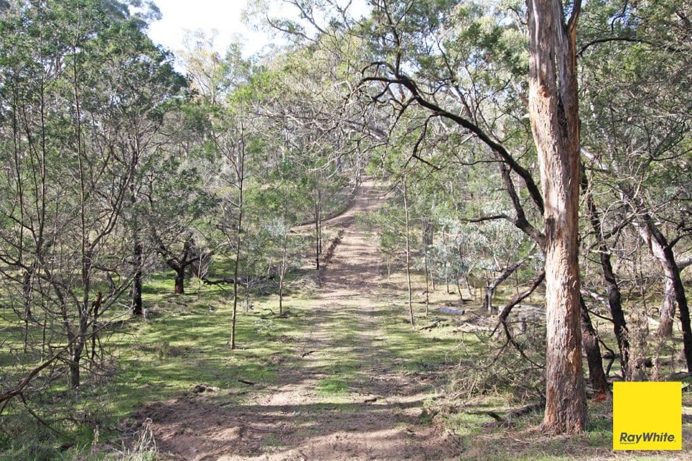 250 Spring Creek Road, Bungendore NSW 2621, Bungendore - Thumbnail 8