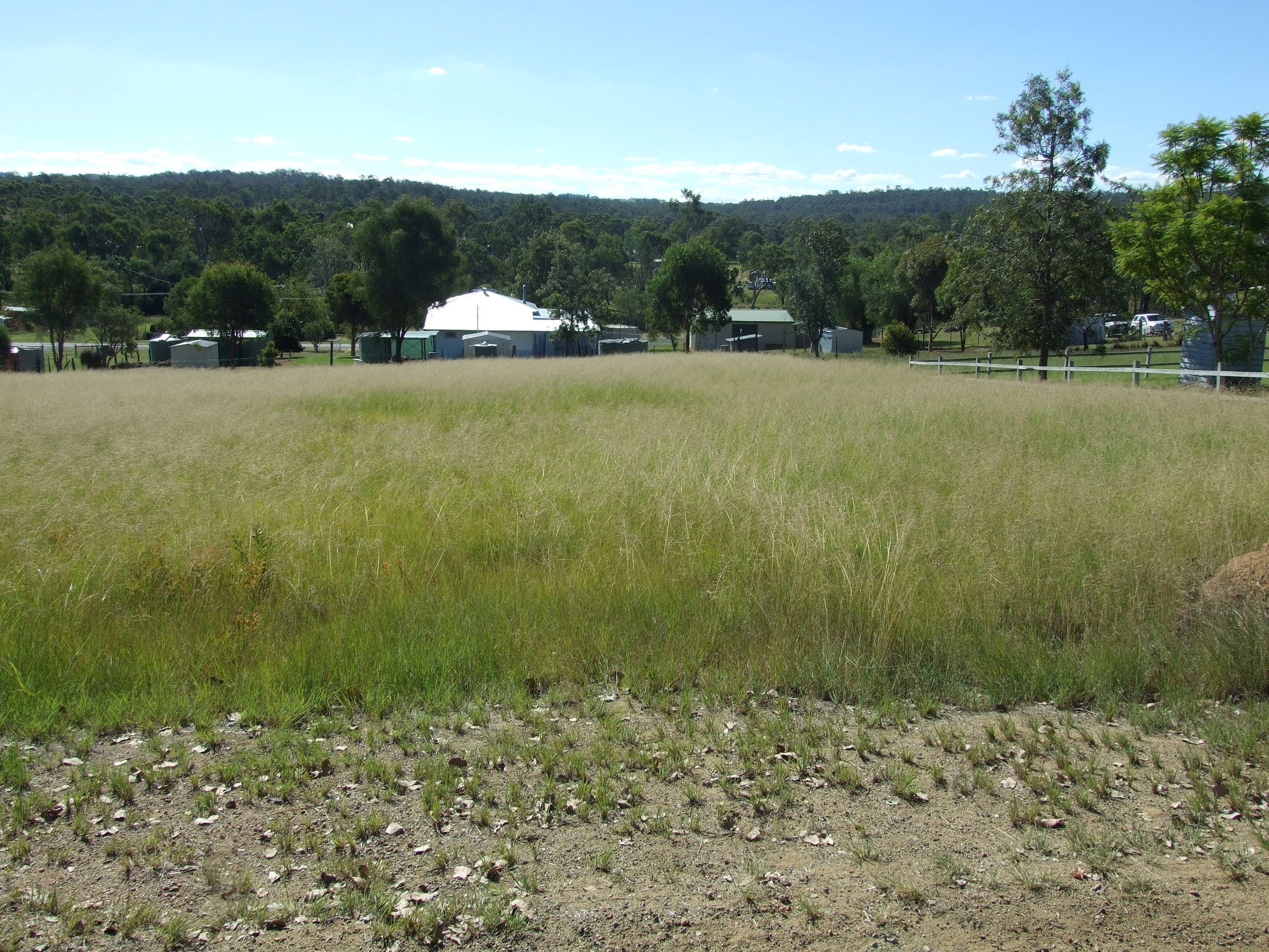3 Flora Street, Cooyar QLD 4402, Cooyar - Thumbnail 4