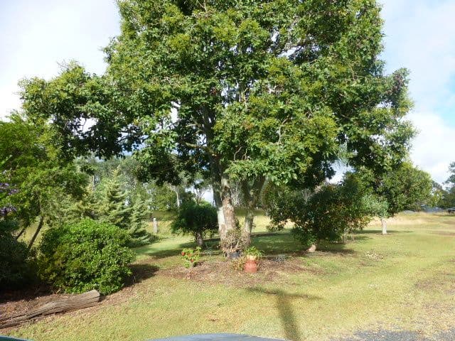 158 Armitage Rd, Crosshill, OAKEY QLD 4401, Oakey - Thumbnail 6