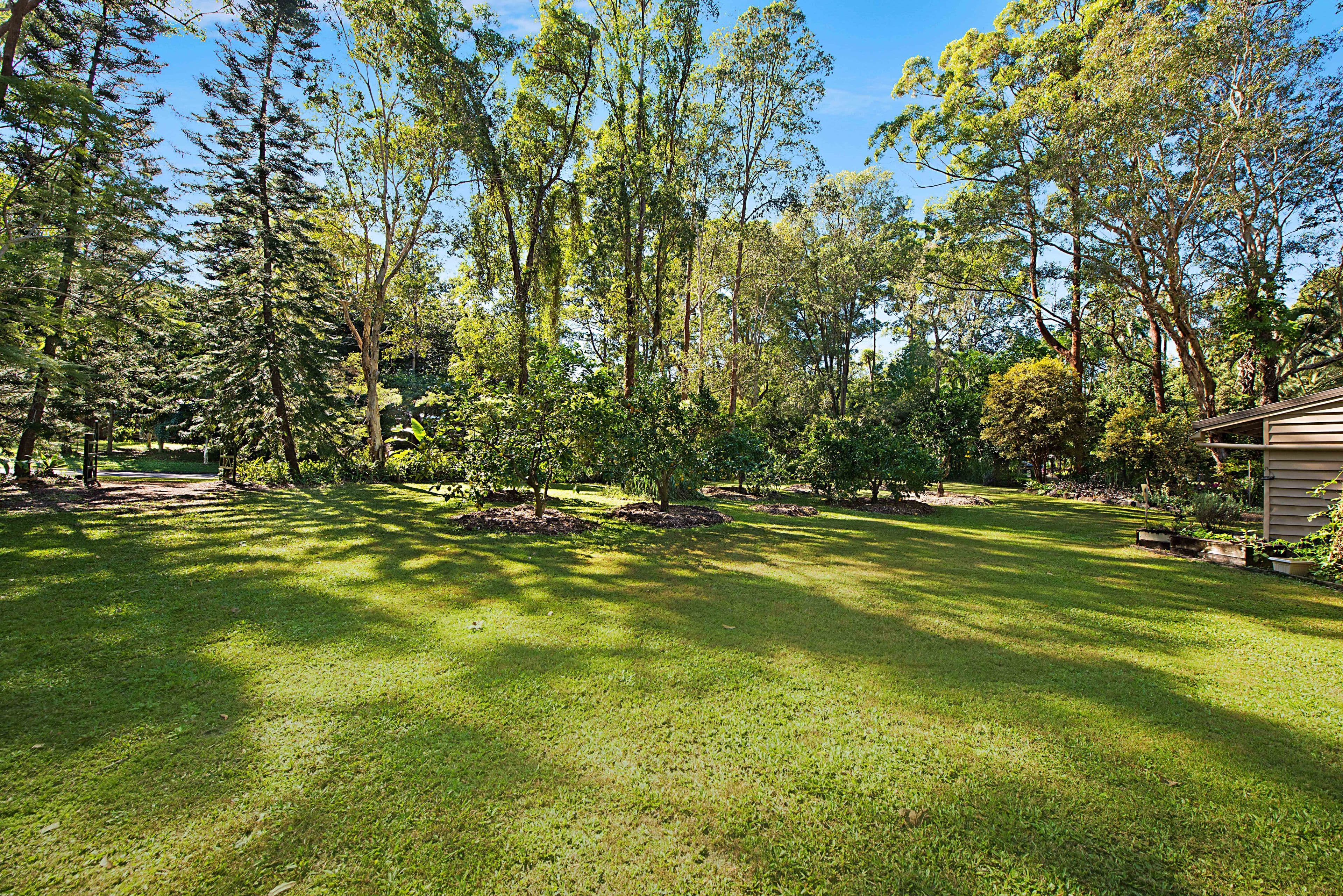 38 Barleycorn Avenue, Buderim QLD 4556, Buderim - Thumbnail 3