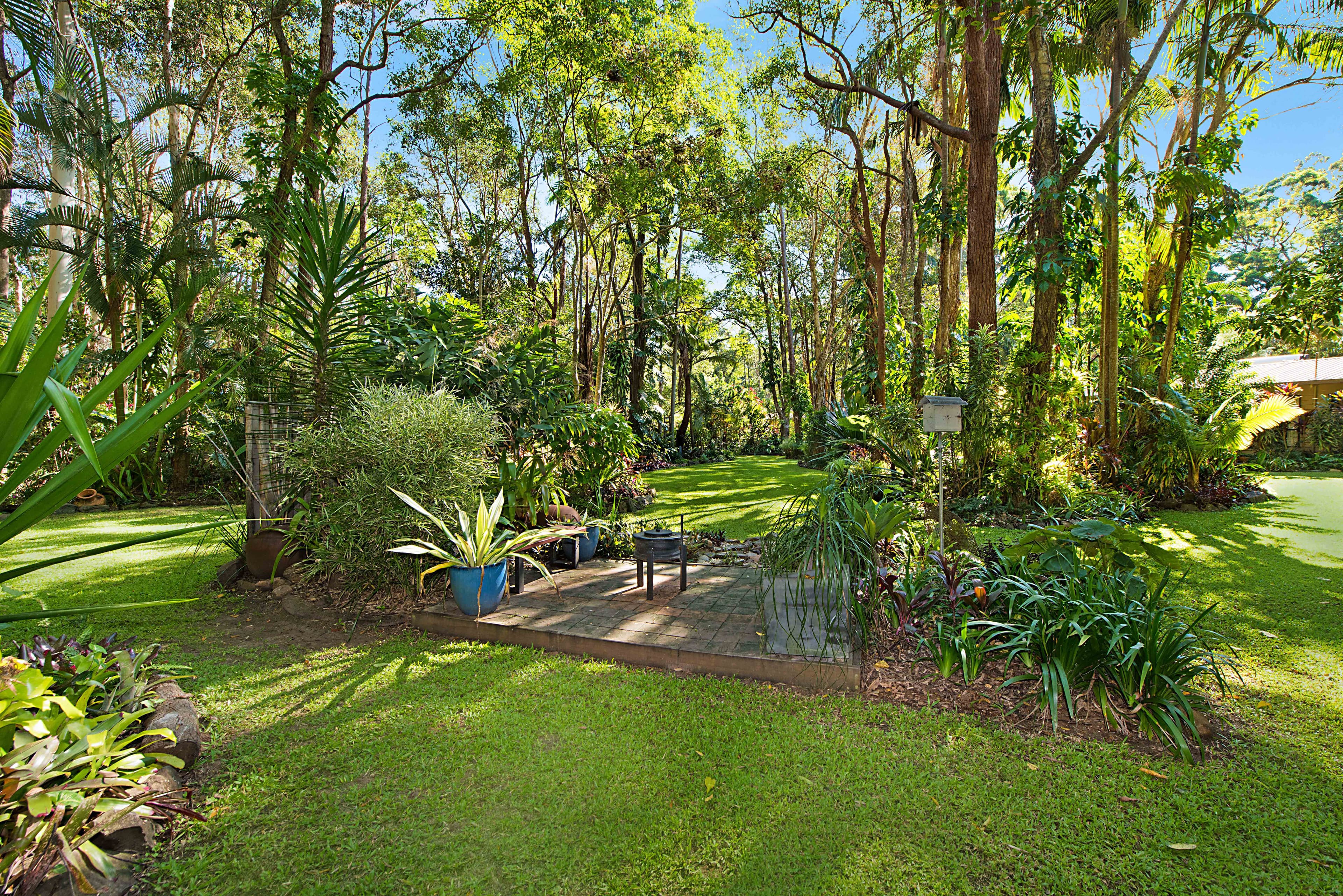 38 Barleycorn Avenue, Buderim QLD 4556, Buderim - Thumbnail 4