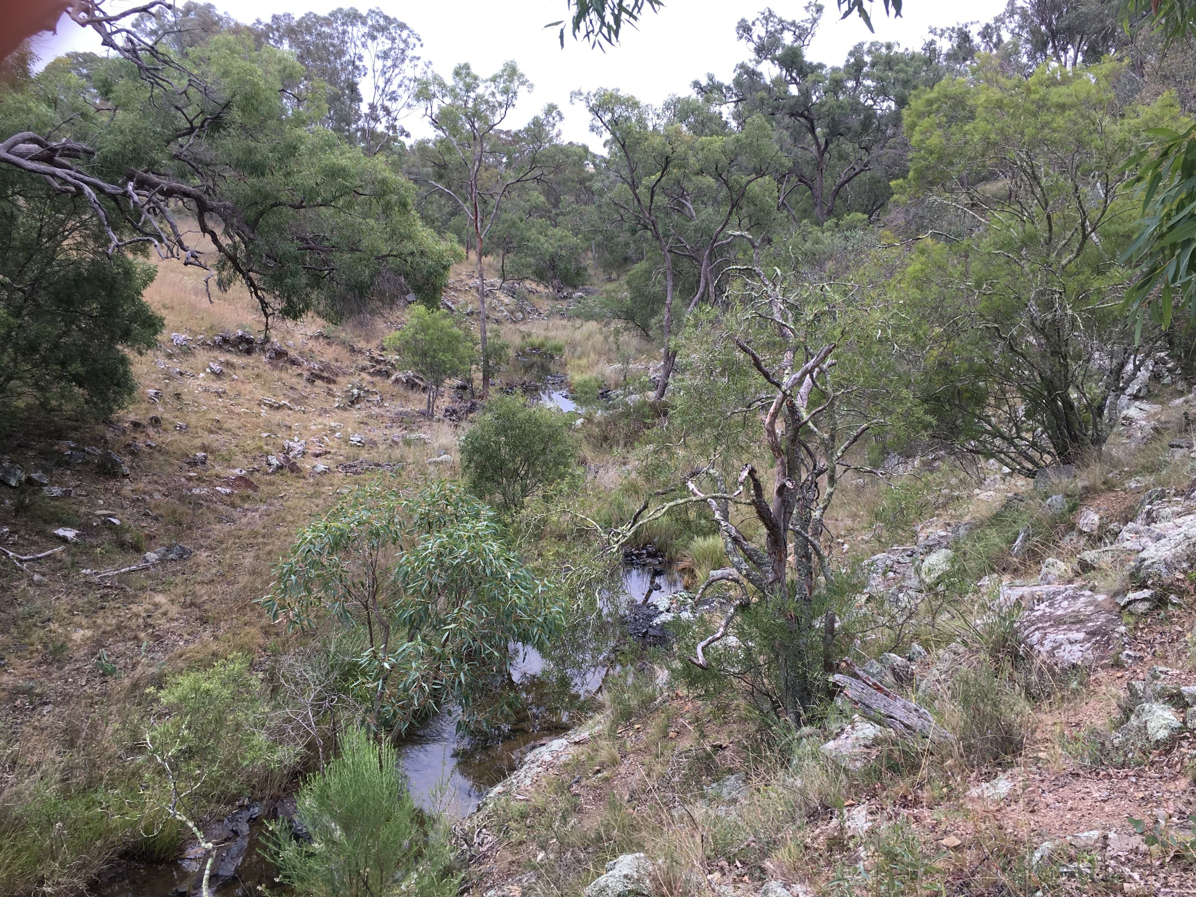 536 Springdale Road, Pikedale QLD 4380, Pikedale - Thumbnail 6