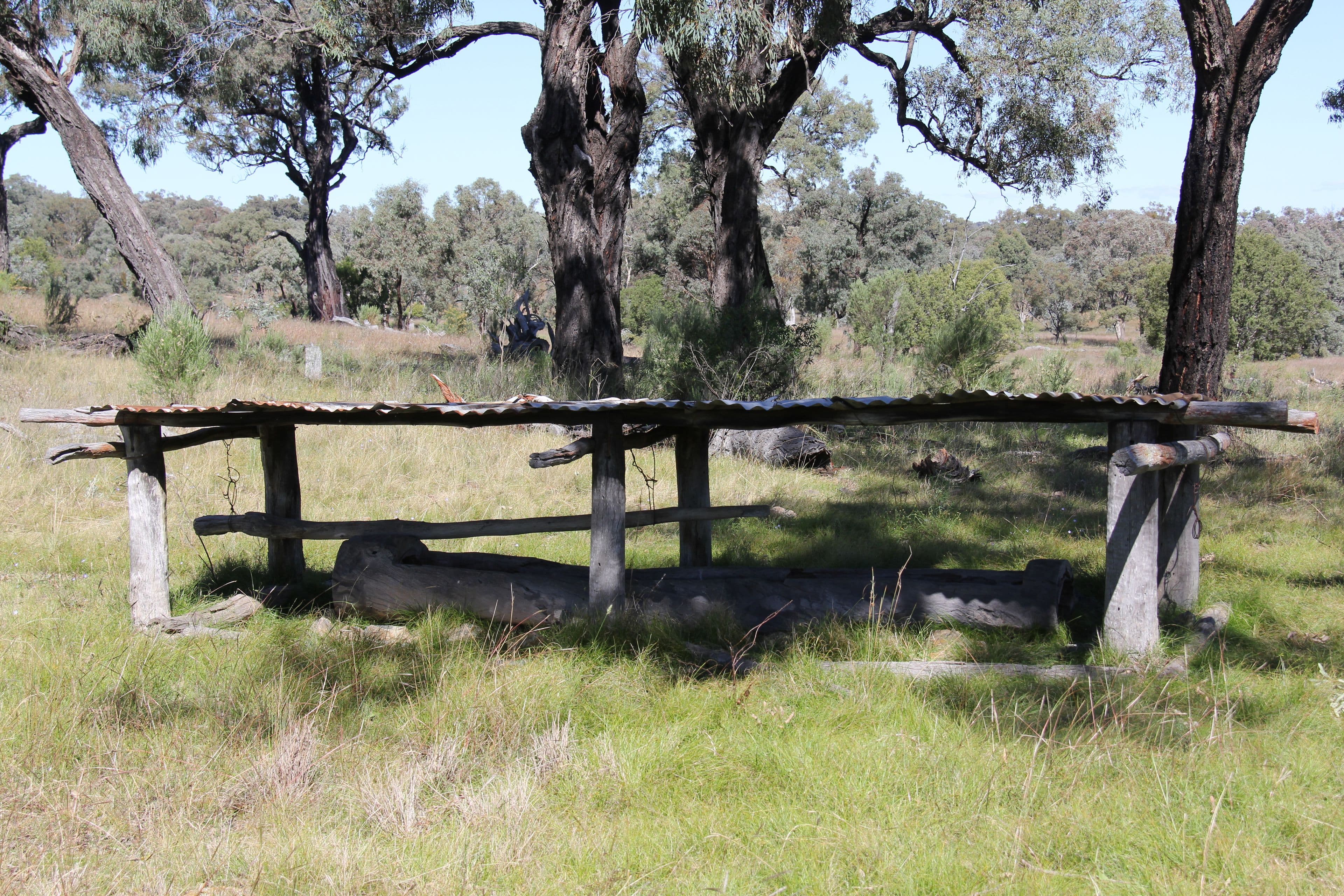 536 Springdale Road, Pikedale QLD 4380, Pikedale - Thumbnail 3