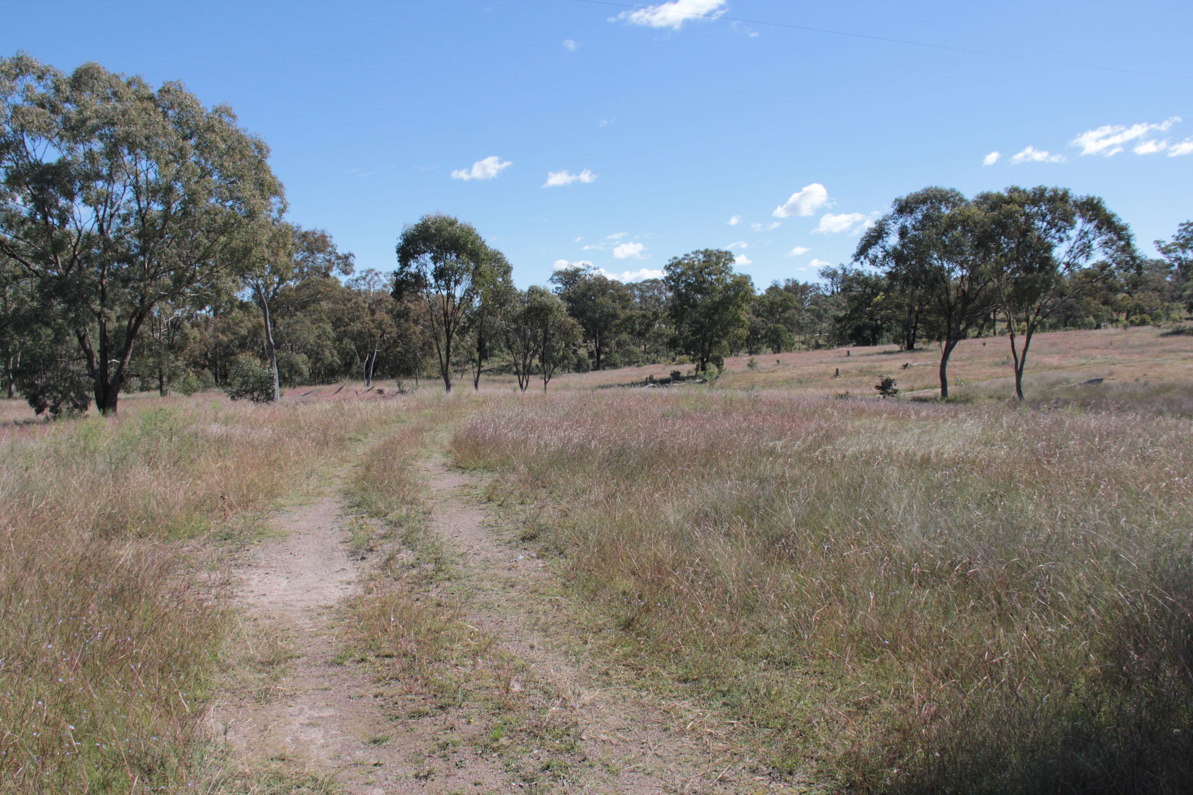 536 Springdale Road, Pikedale QLD 4380, Pikedale - Thumbnail 4