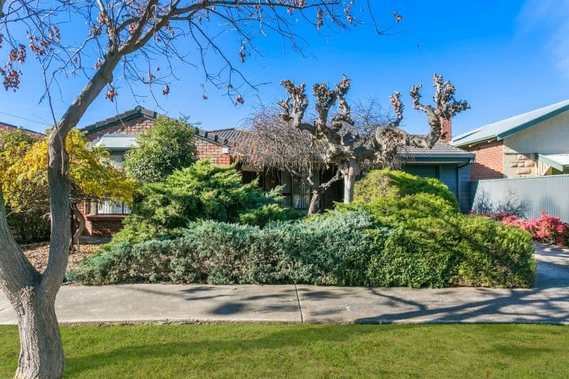 20 First Avenue, Cheltenham SA 5014, Cheltenham - Image 1