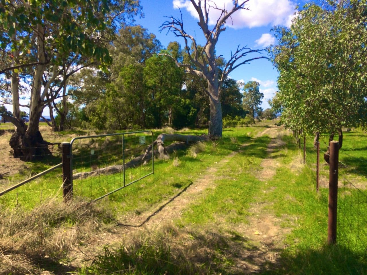 64 Tallarook Road, Cowra NSW 2794, Cowra - Thumbnail 2