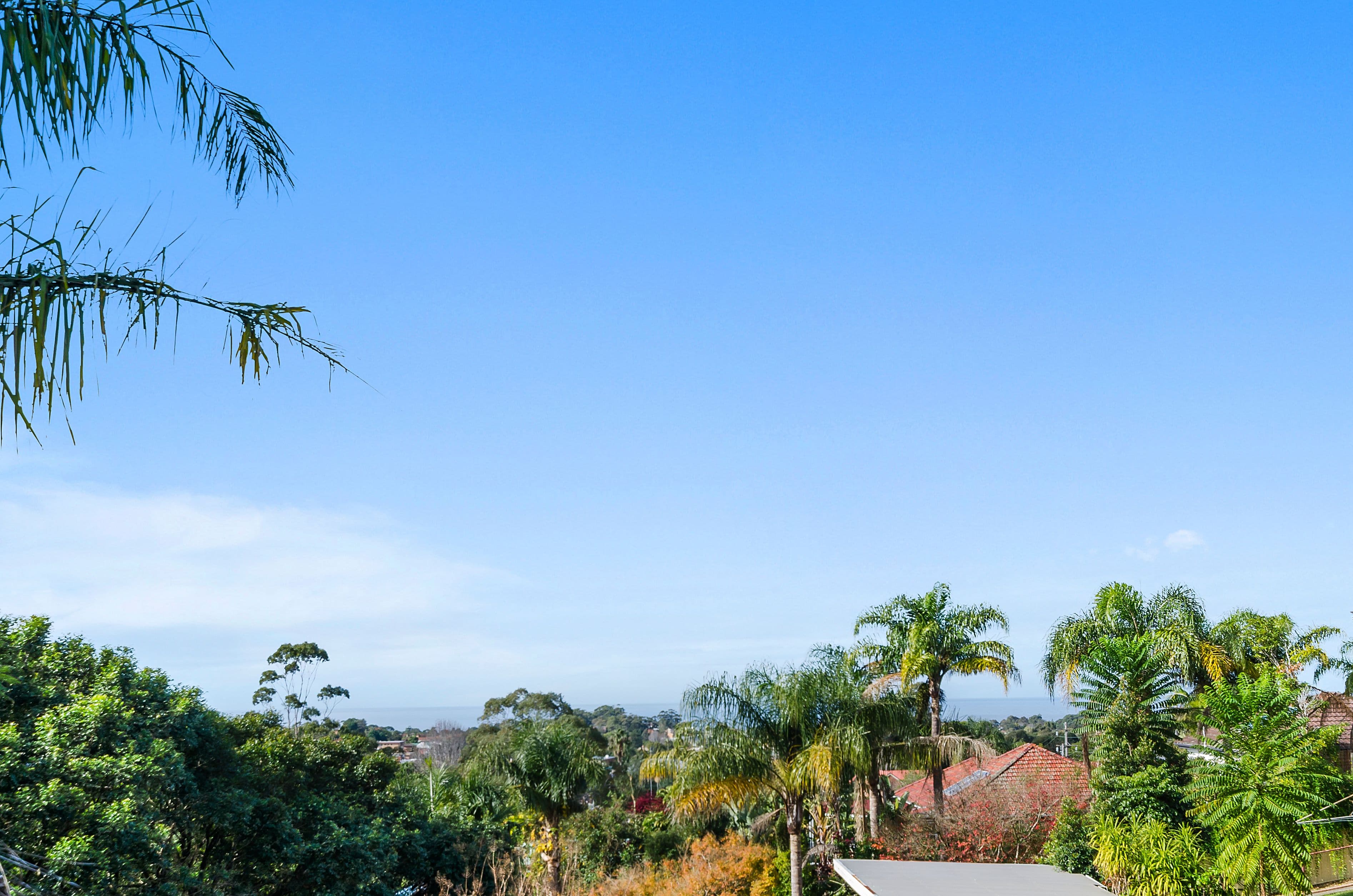 81 Popes Road, Woonona NSW 2517, Woonona - Thumbnail 5